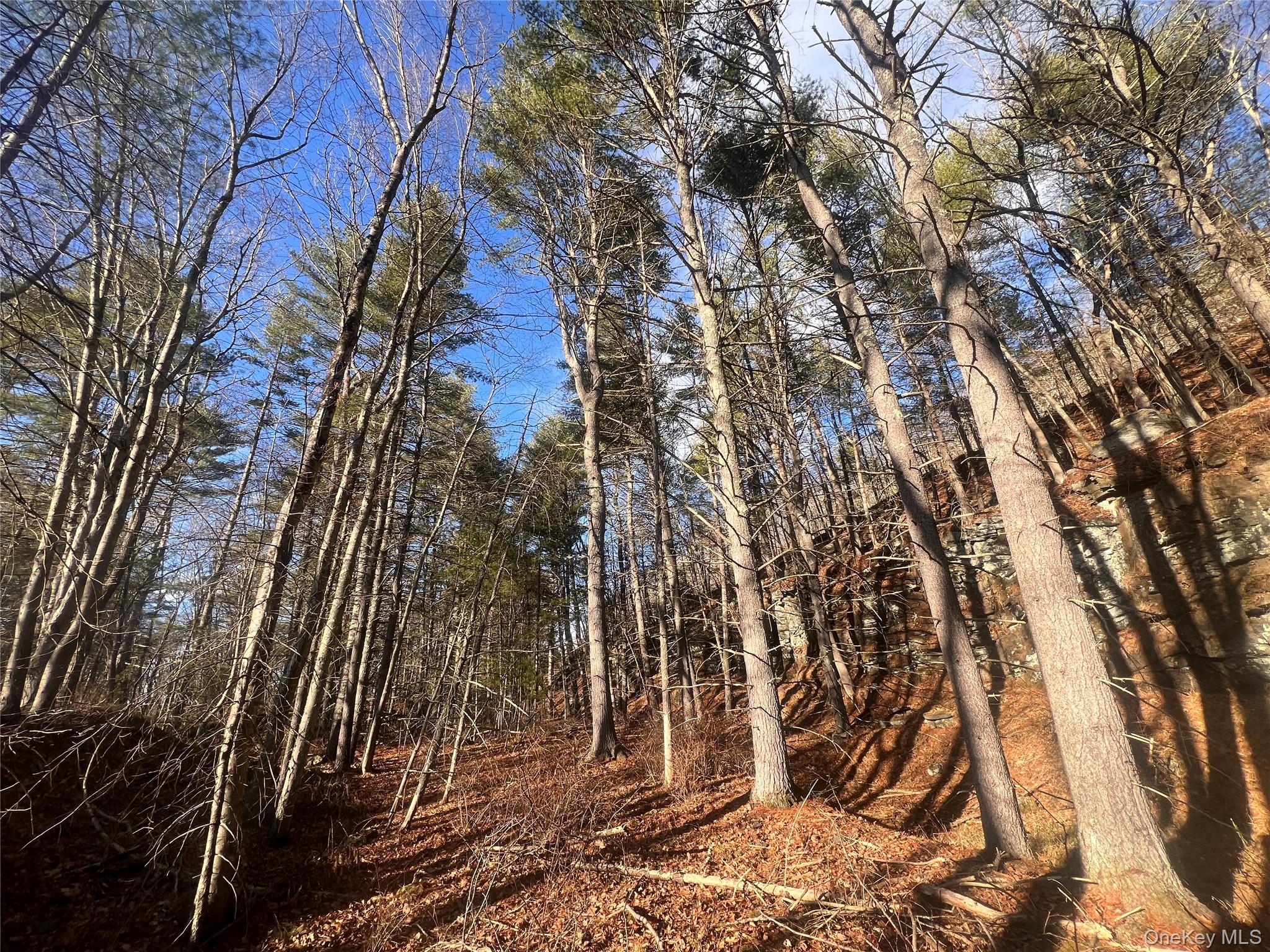 Hankins Rd, Narrowsburg, NY 12764