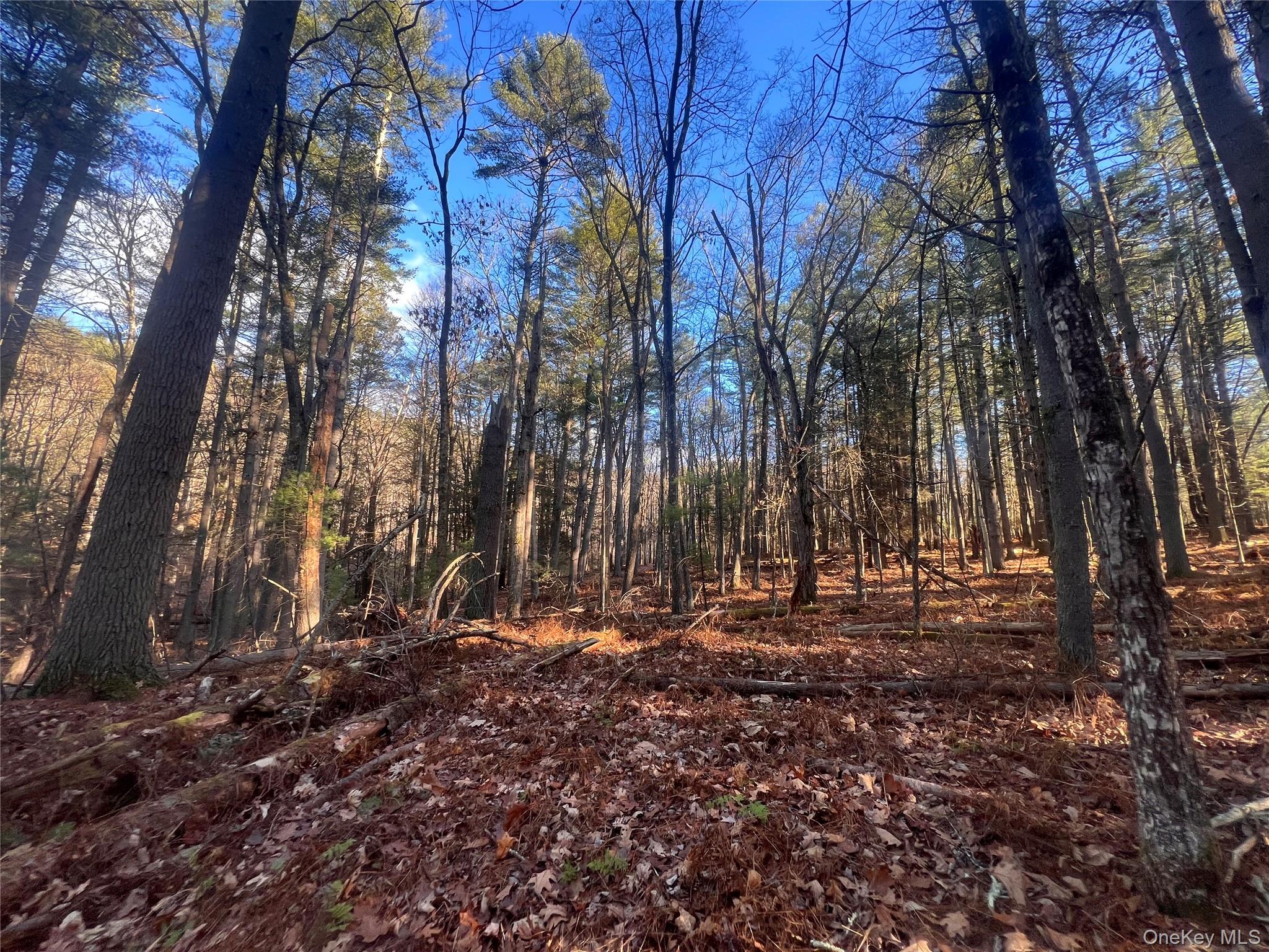 Hankins Rd, Narrowsburg, NY 12764