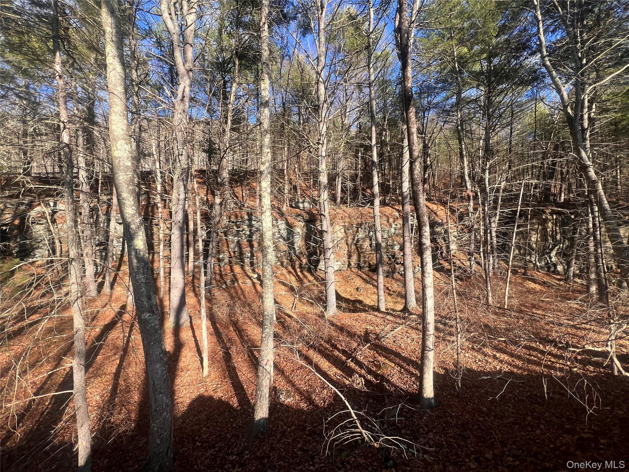 Hankins Rd, Narrowsburg, NY 12764