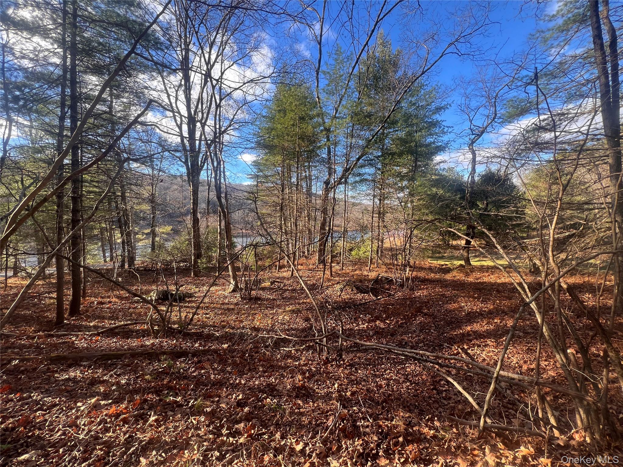 Hankins Rd, Narrowsburg, NY 12764