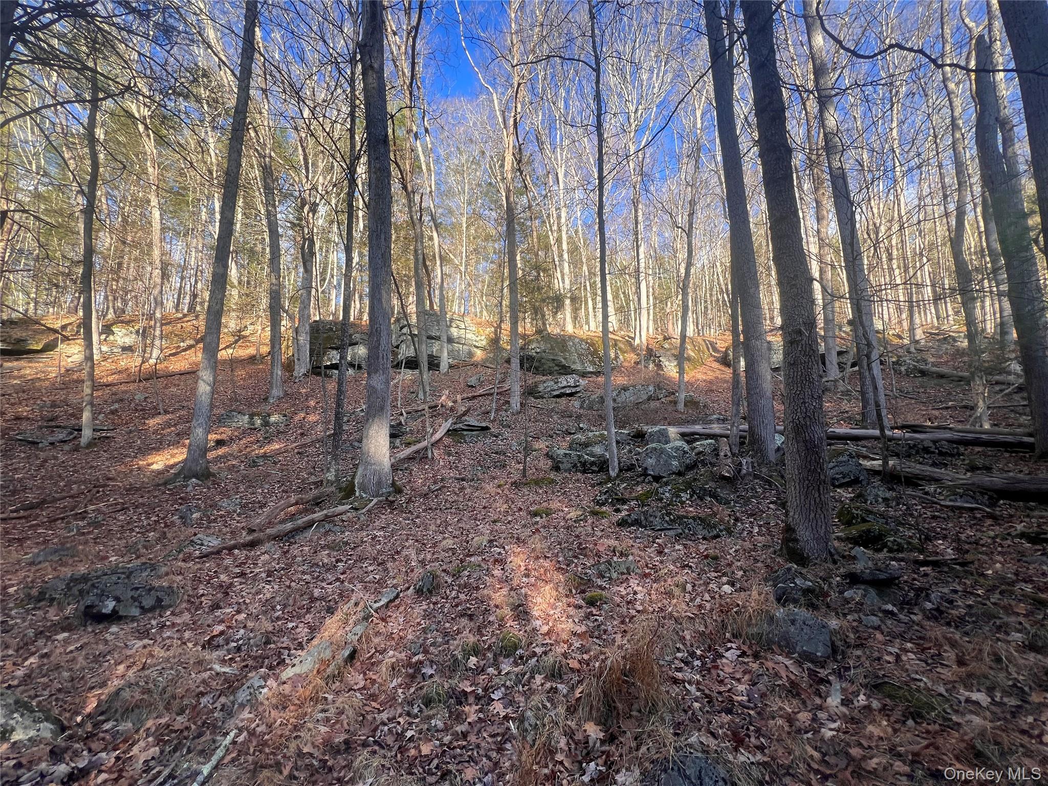 Hankins Rd, Narrowsburg, NY 12764