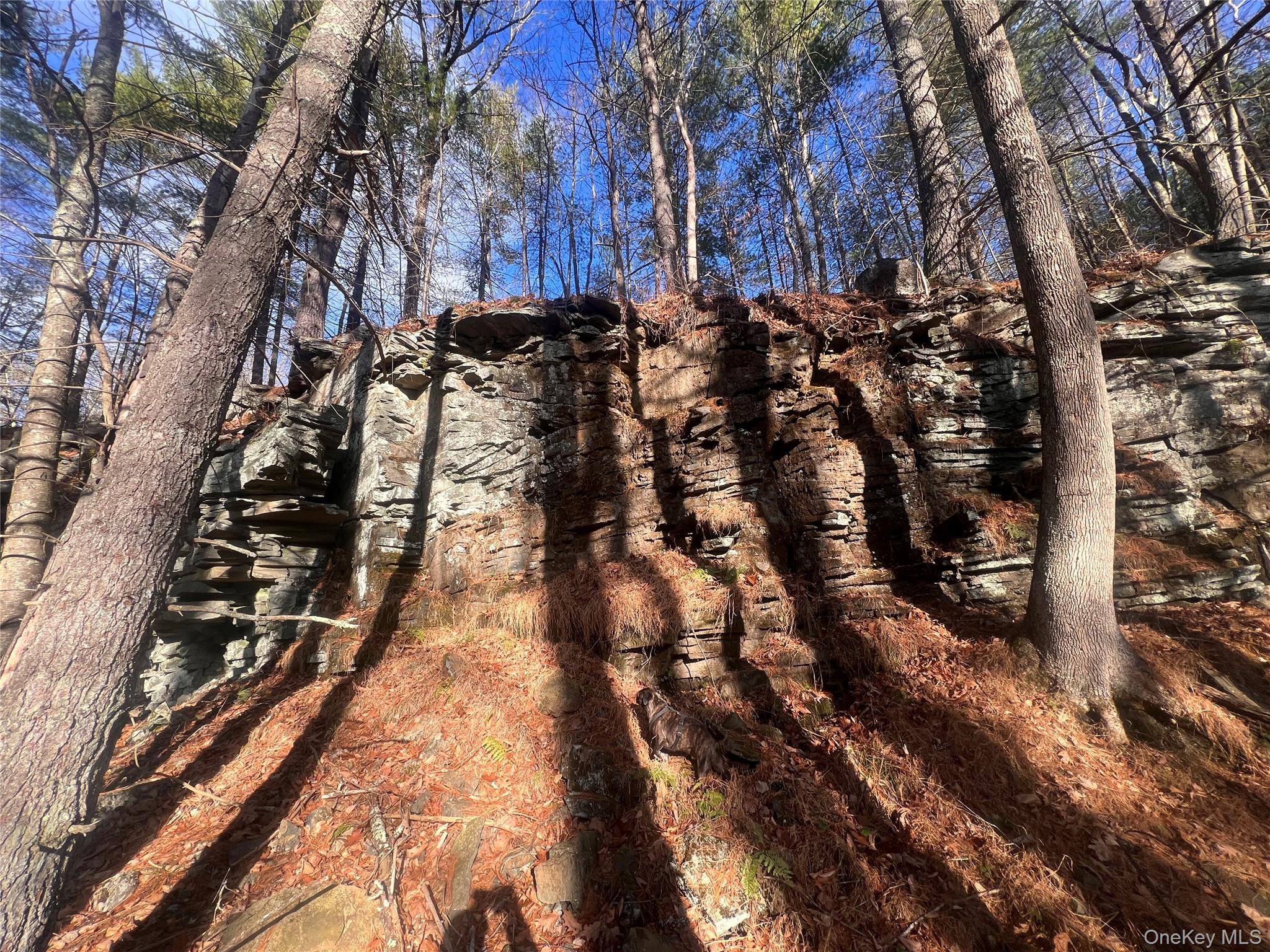 Hankins Rd, Narrowsburg, NY 12764