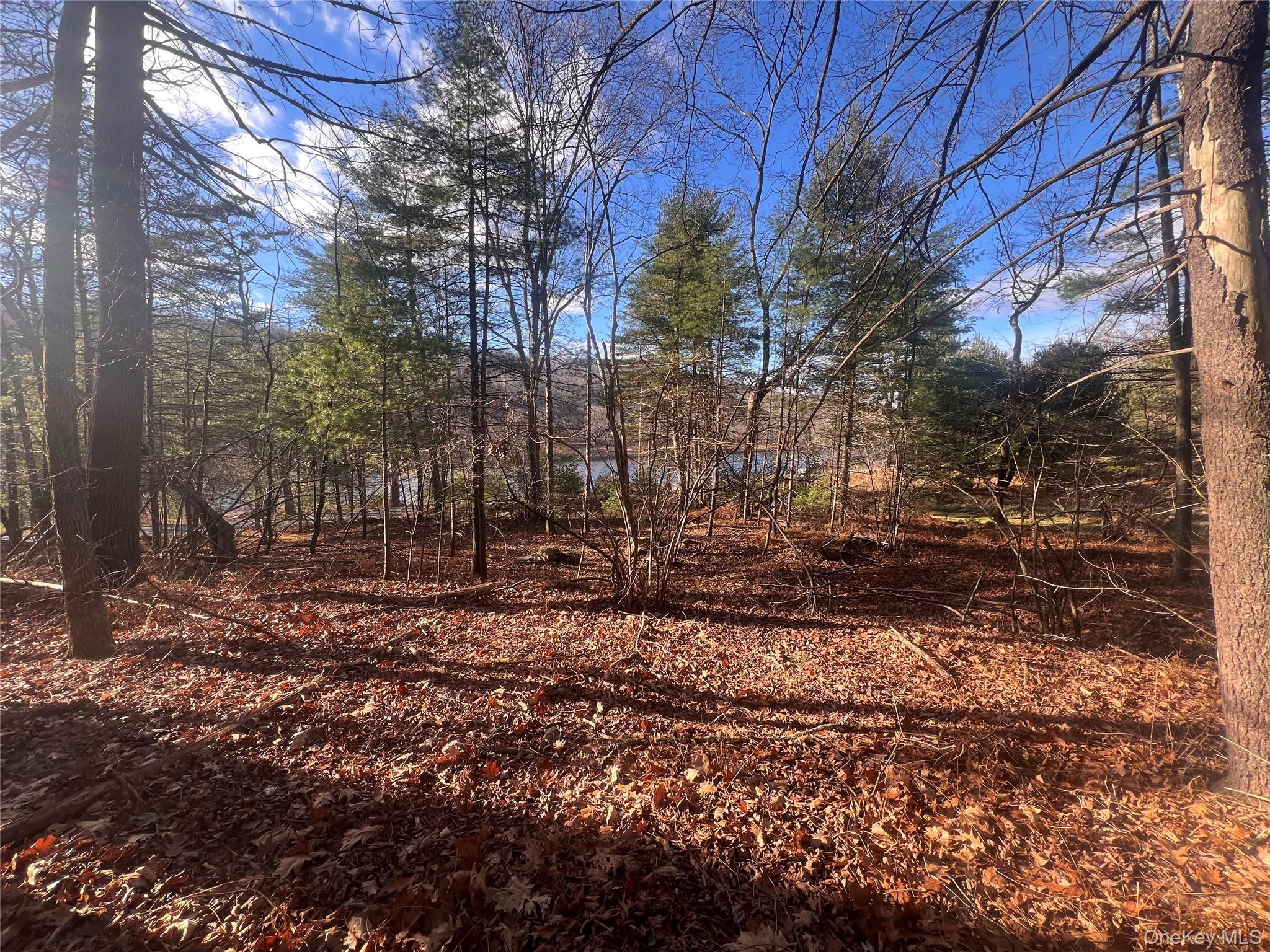 Hankins Rd, Narrowsburg, NY 12764