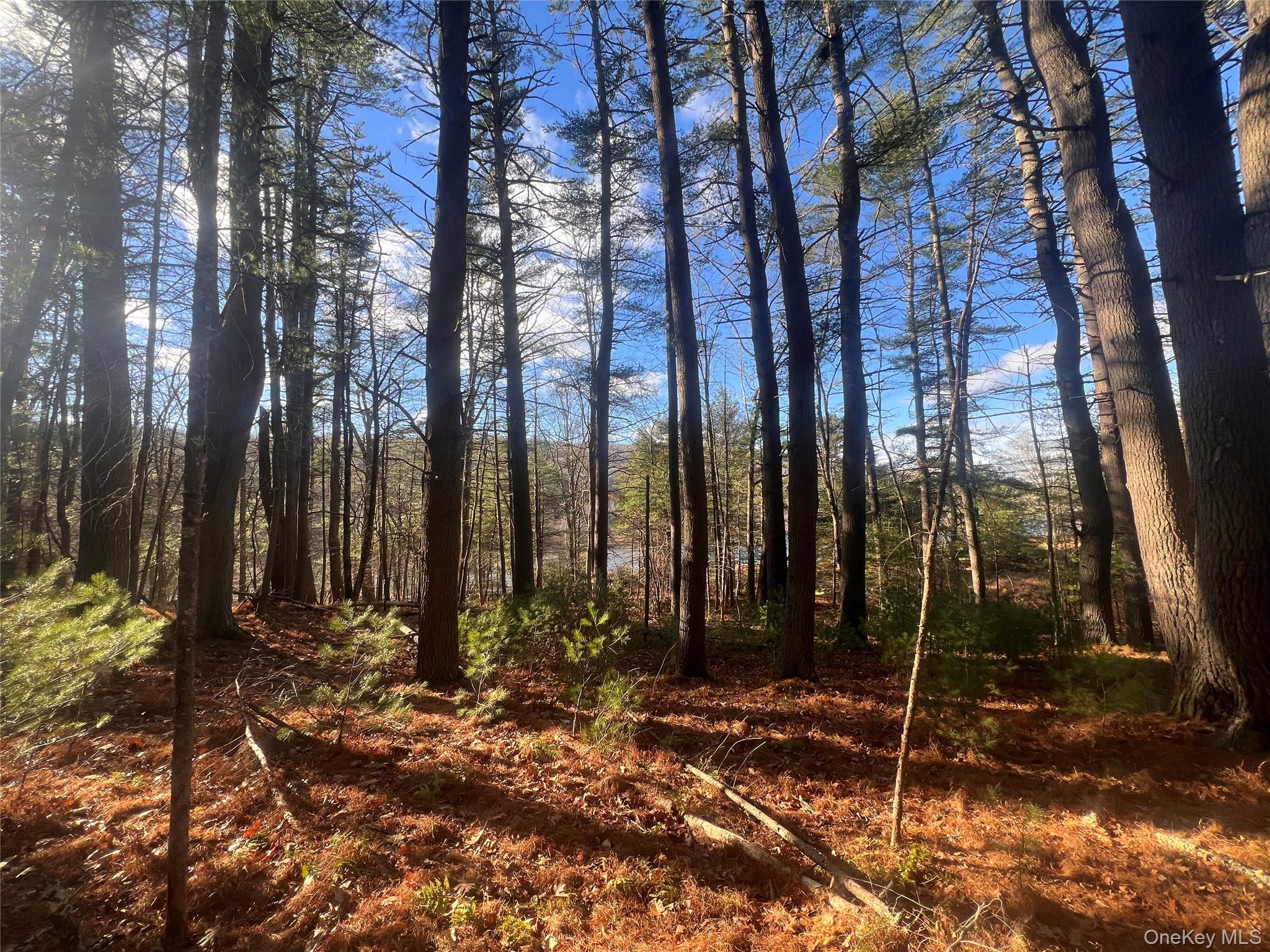 Hankins Rd, Narrowsburg, NY 12764