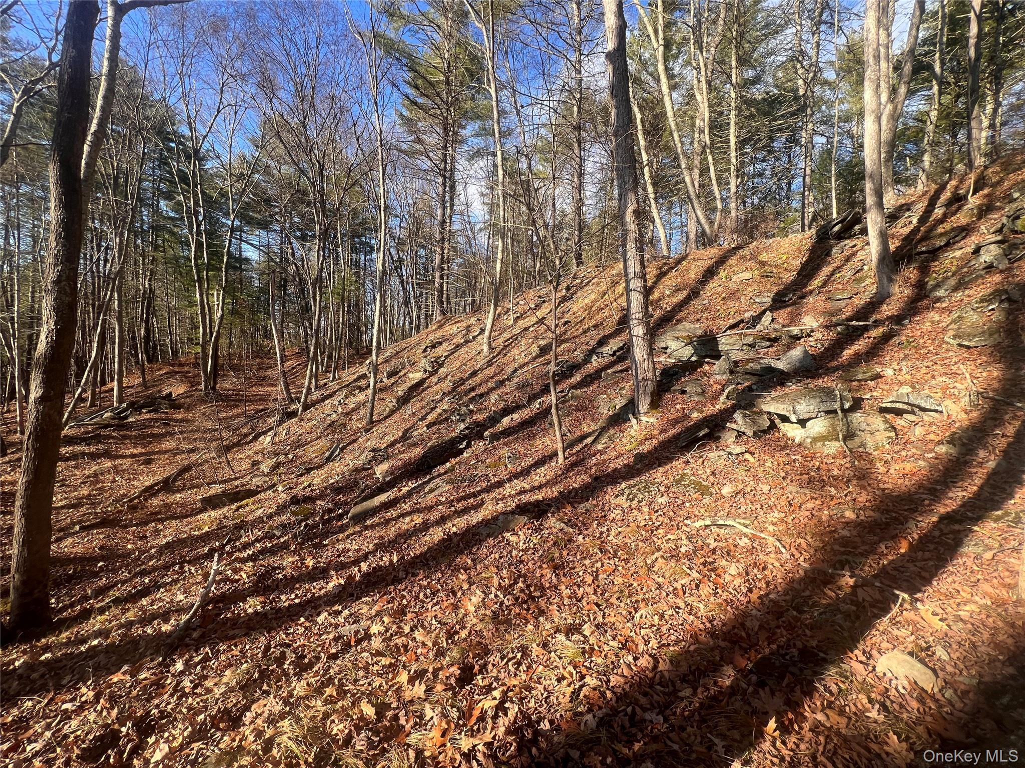 Hankins Rd, Narrowsburg, NY 12764