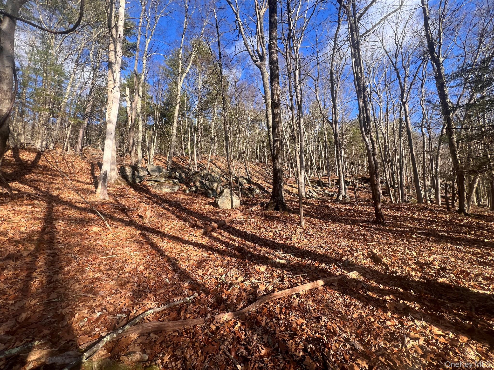 Hankins Rd, Narrowsburg, NY 12764