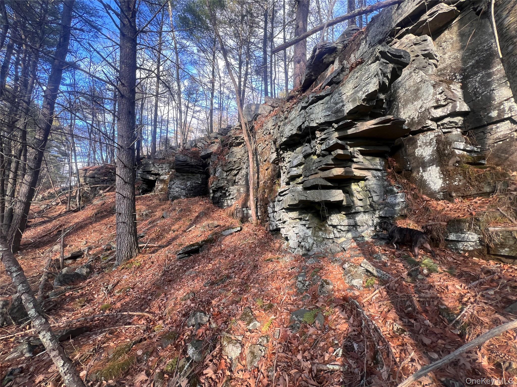 Hankins Rd, Narrowsburg, NY 12764