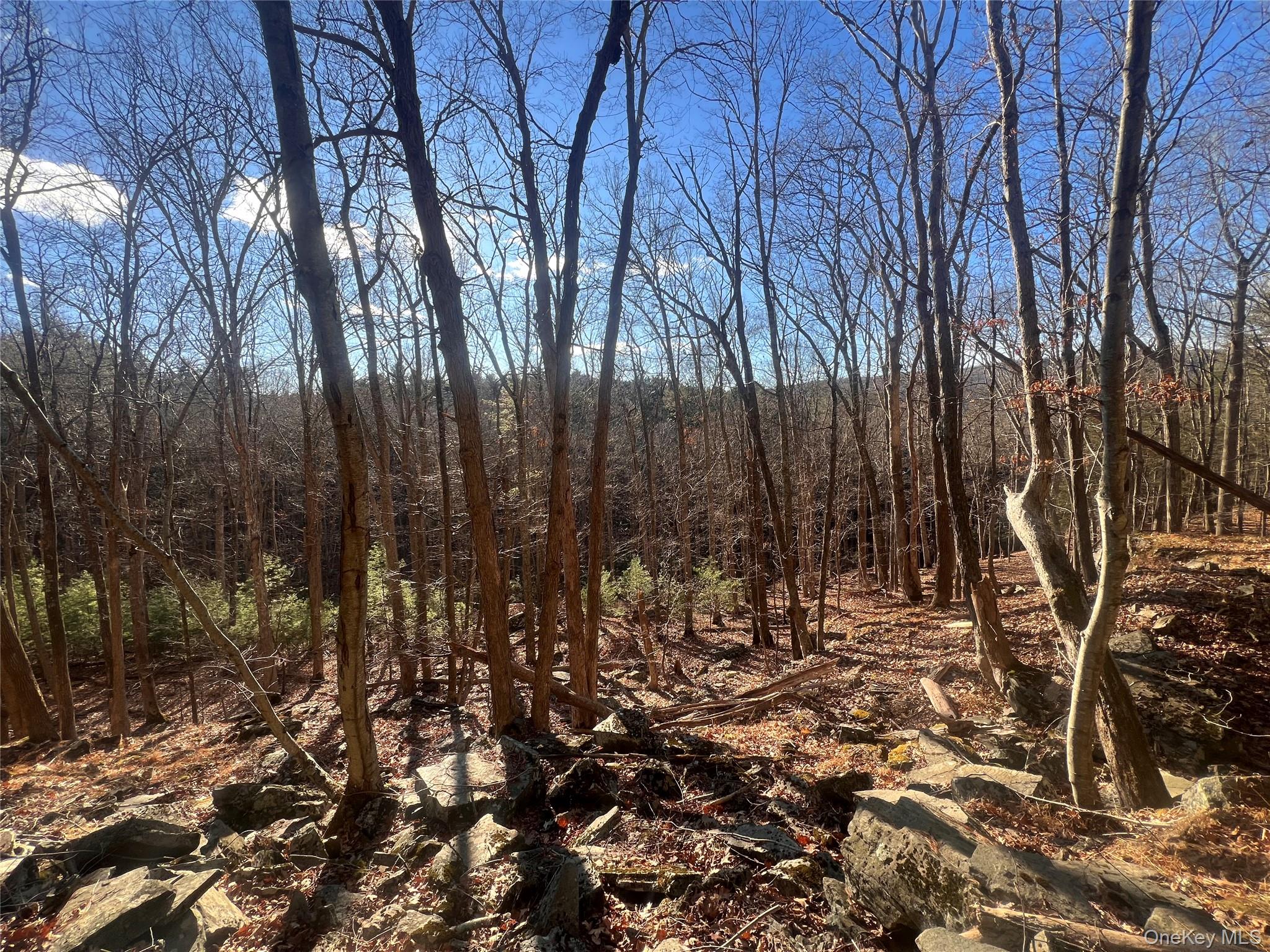 Hankins Rd, Narrowsburg, NY 12764