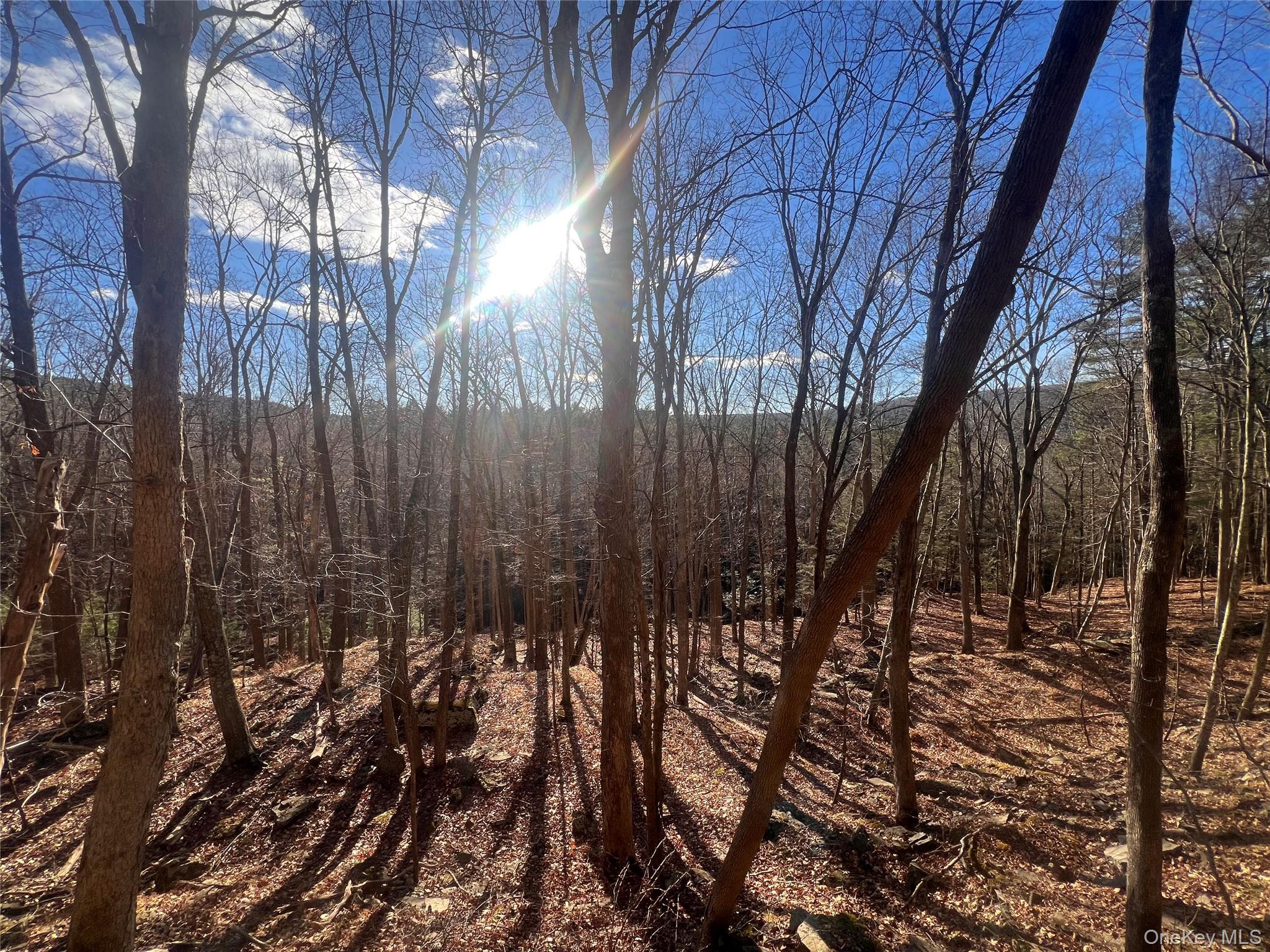 Hankins Rd, Narrowsburg, NY 12764