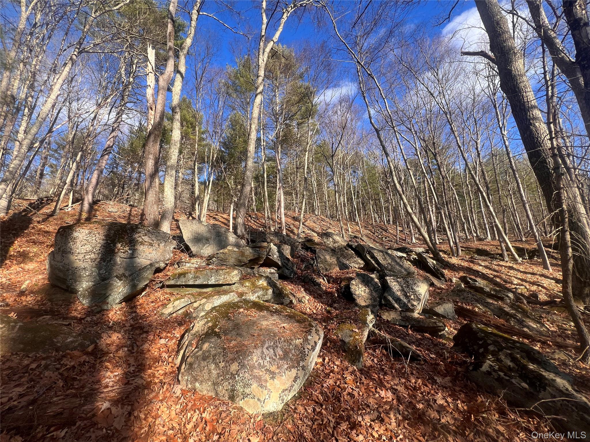 Hankins Rd, Narrowsburg, NY 12764