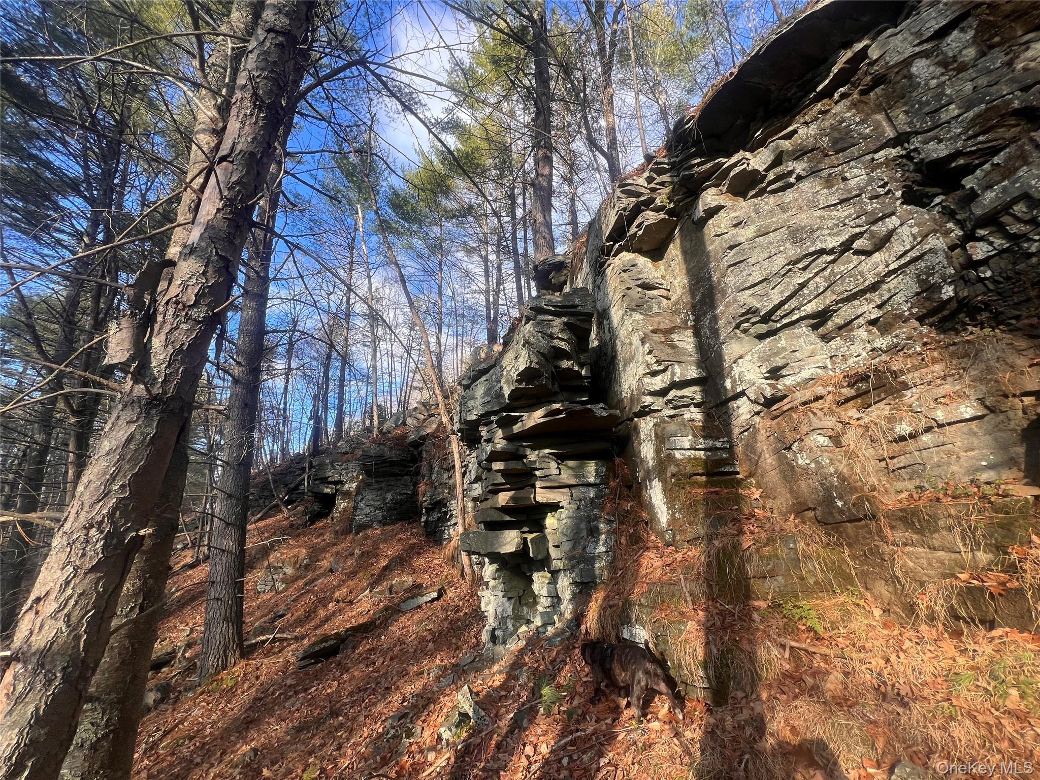 Hankins Rd, Narrowsburg, NY 12764