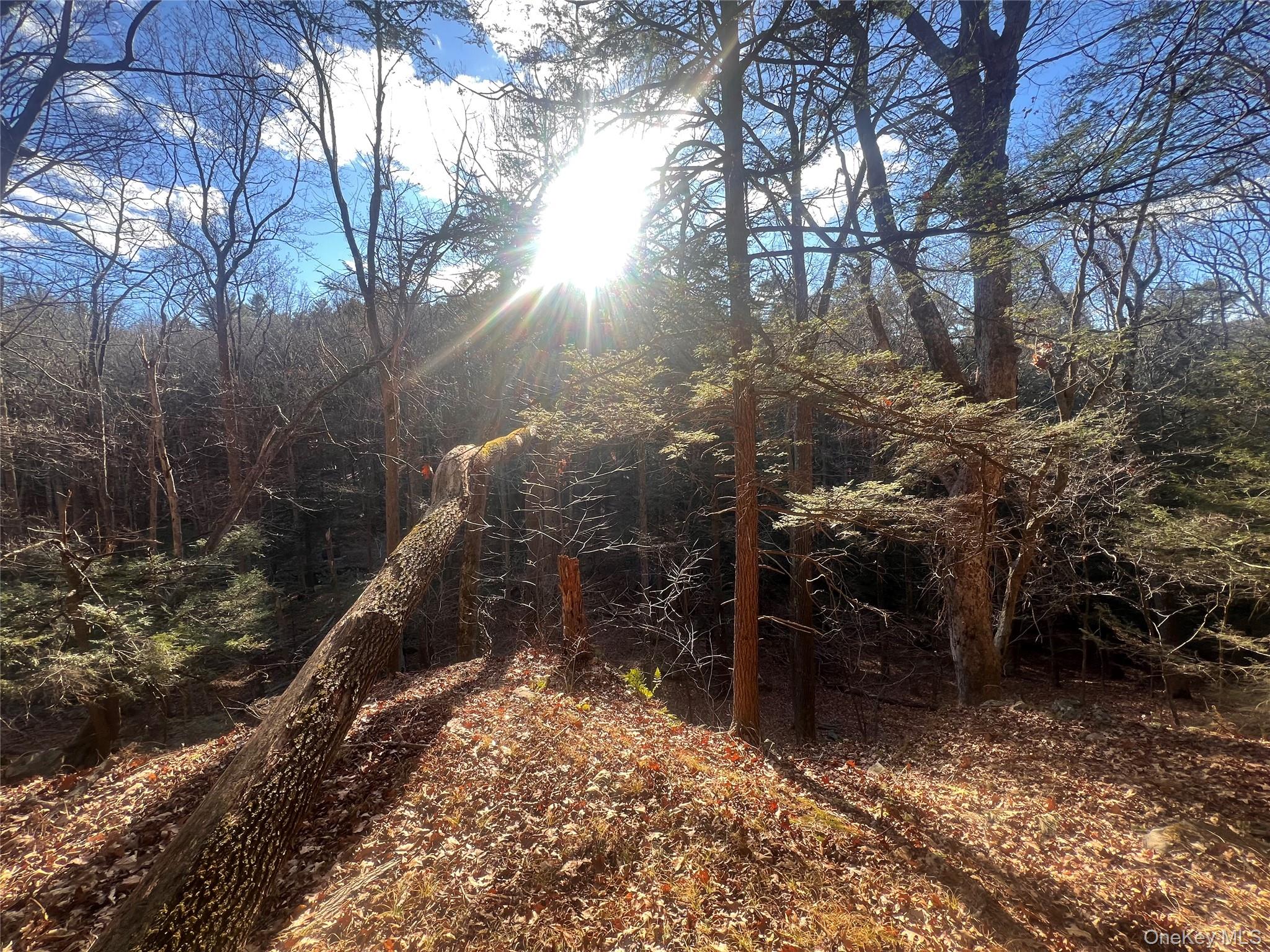 Hankins Rd, Narrowsburg, NY 12764