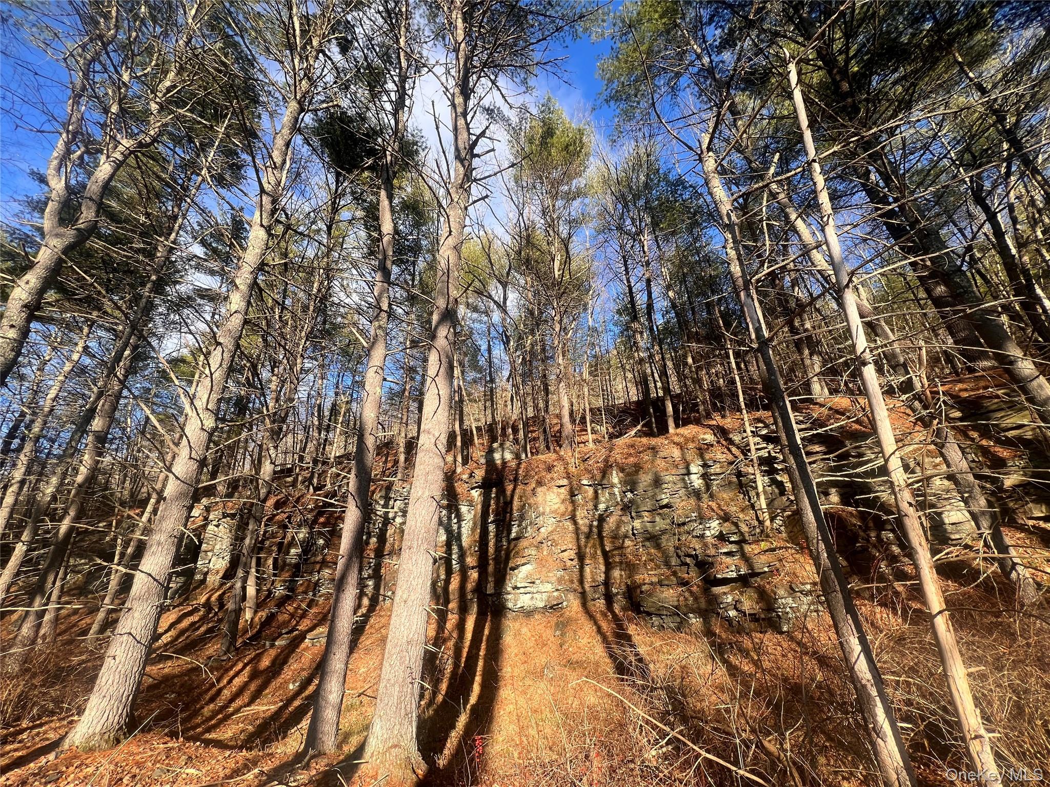 Hankins Rd, Narrowsburg, NY 12764