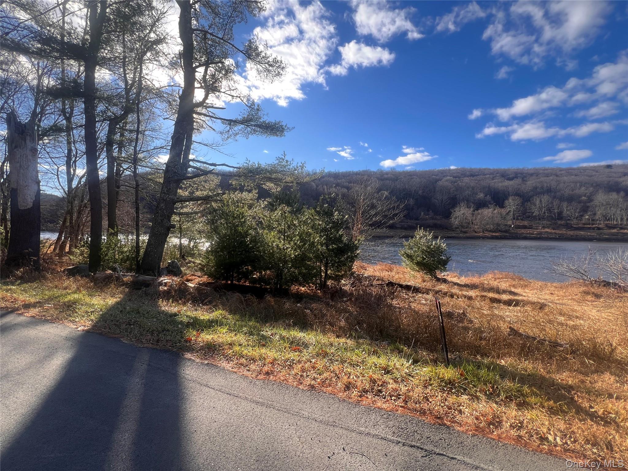 Hankins Rd, Narrowsburg, NY 12764