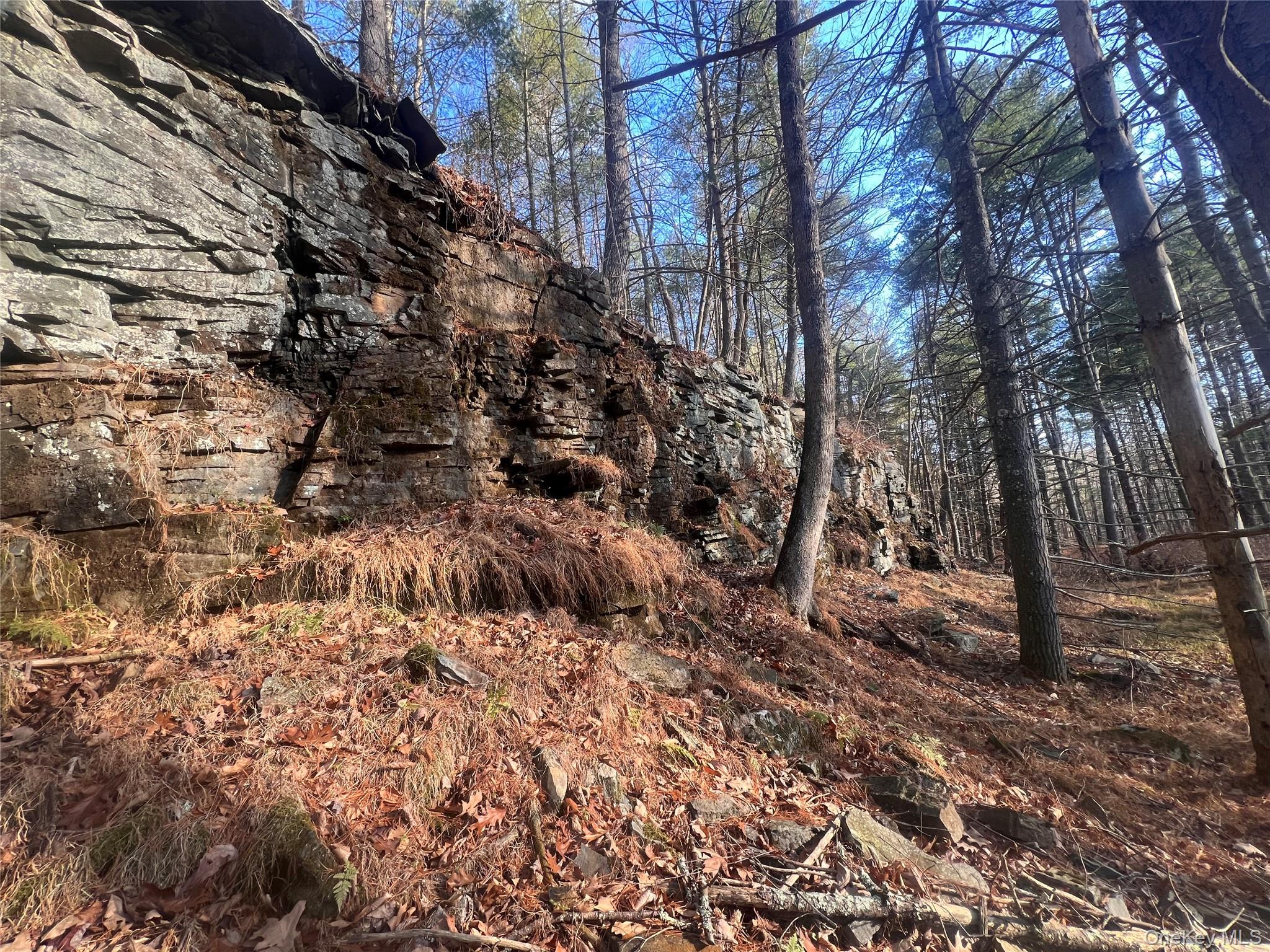 Hankins Rd, Narrowsburg, NY 12764