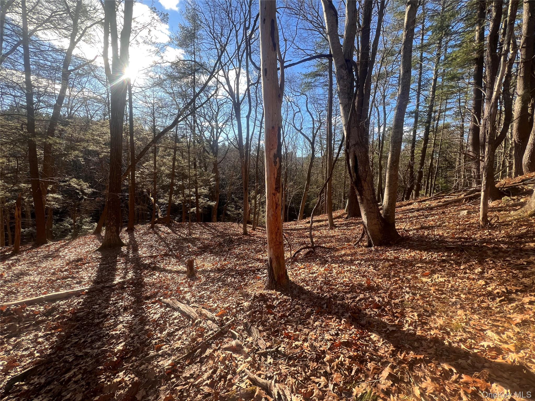 Hankins Rd, Narrowsburg, NY 12764