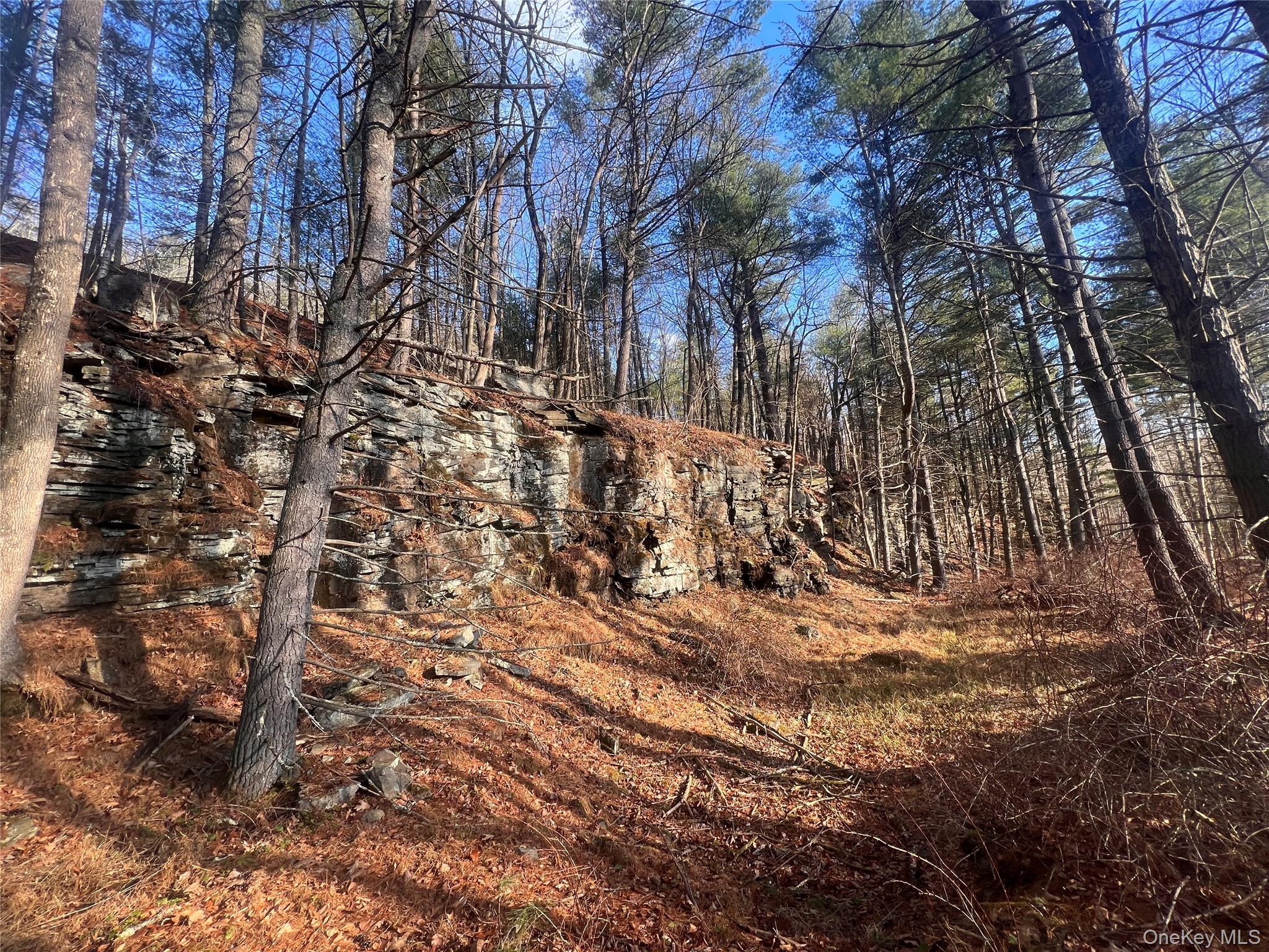 Hankins Rd, Narrowsburg, NY 12764