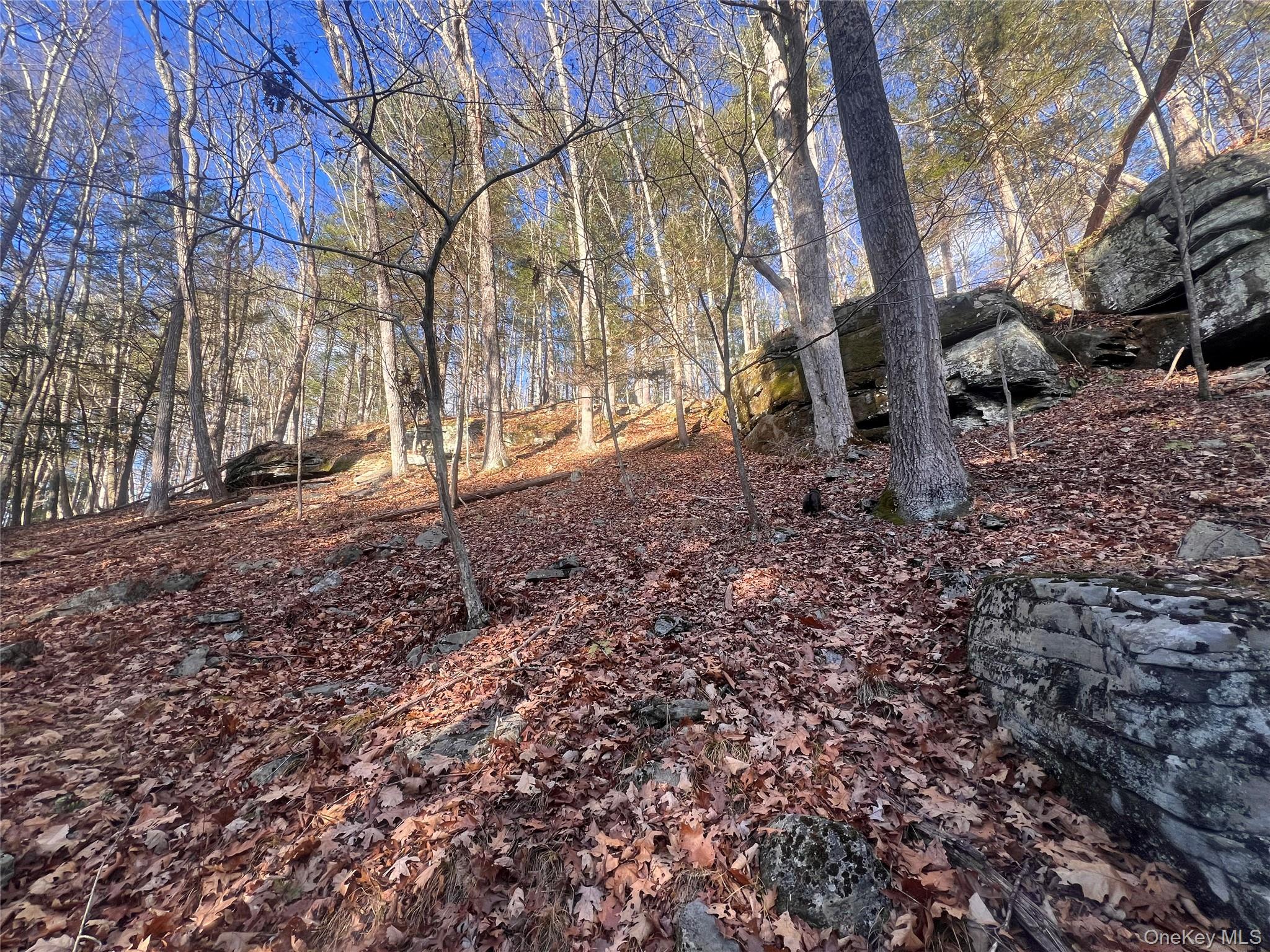 Hankins Rd, Narrowsburg, NY 12764