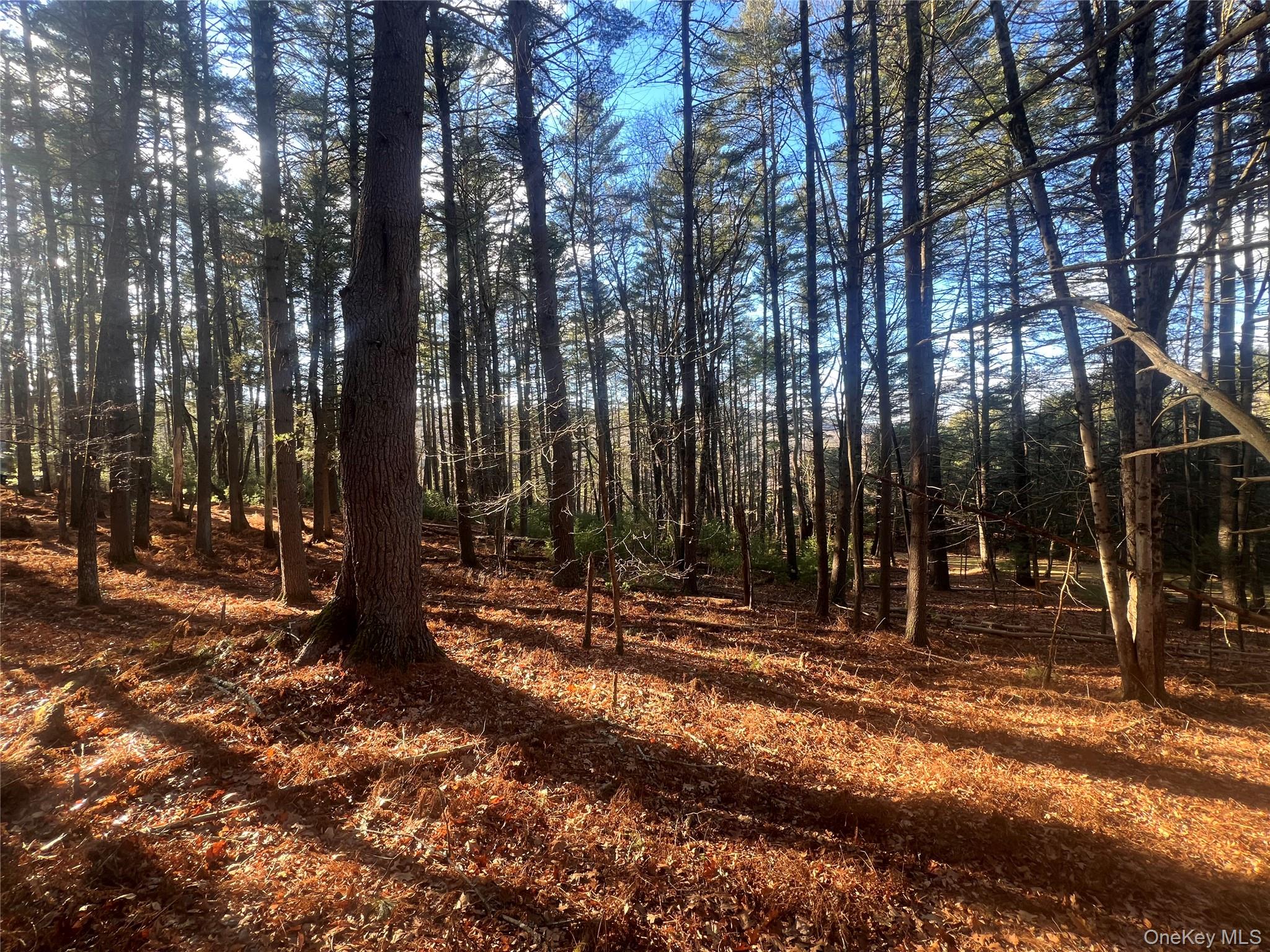 Hankins Rd, Narrowsburg, NY 12764