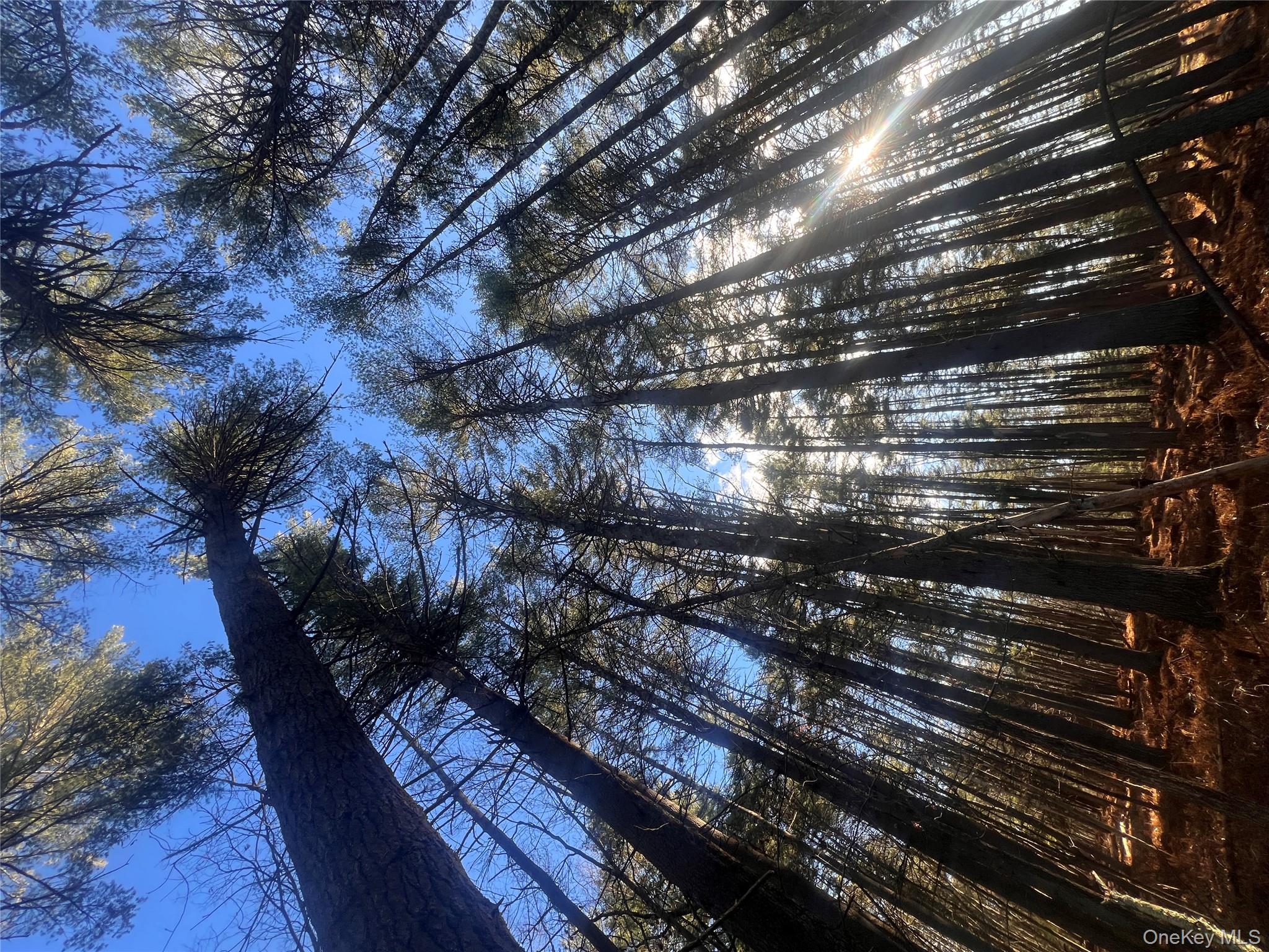 Hankins Rd, Narrowsburg, NY 12764