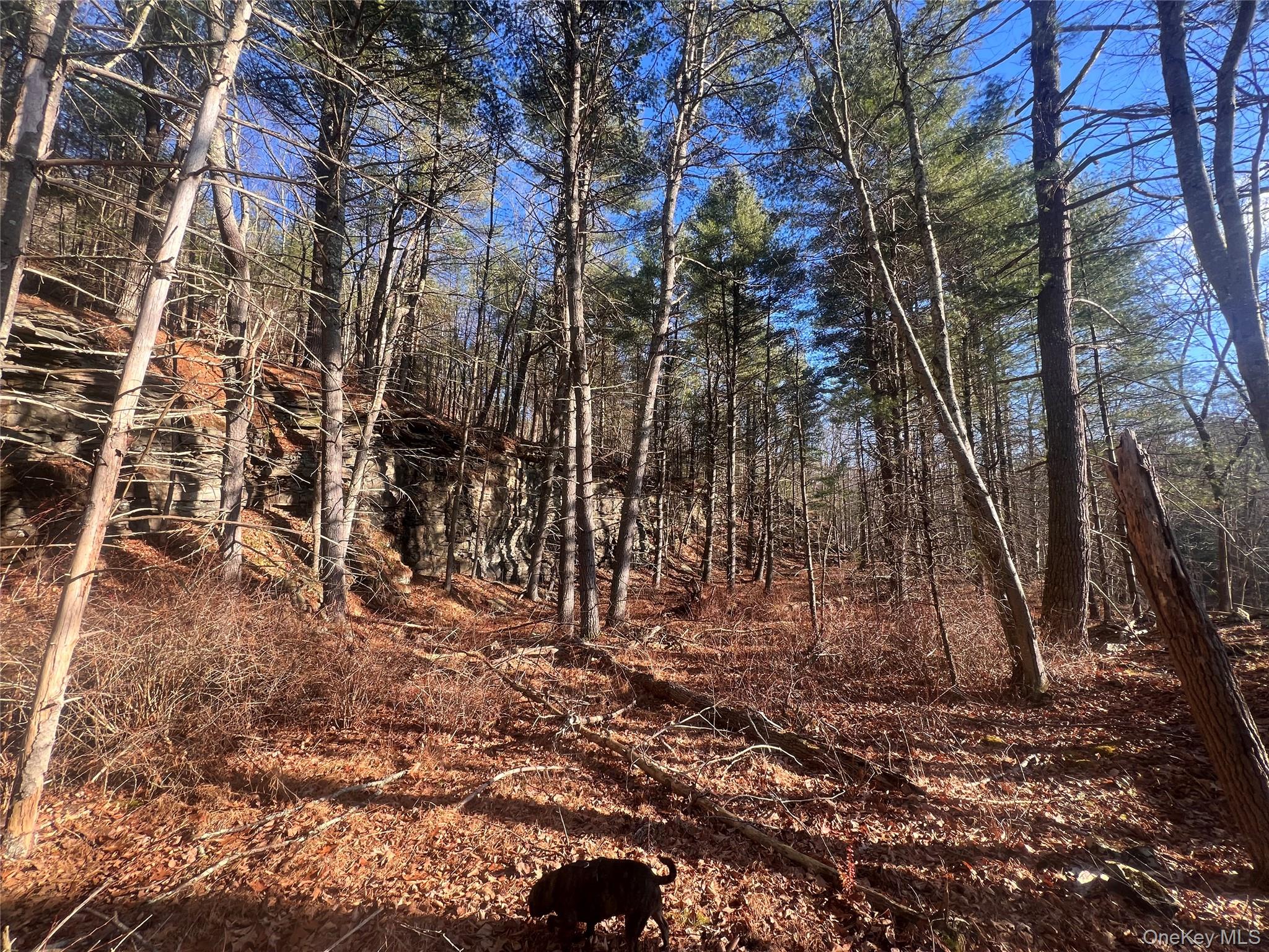 Hankins Rd, Narrowsburg, NY 12764