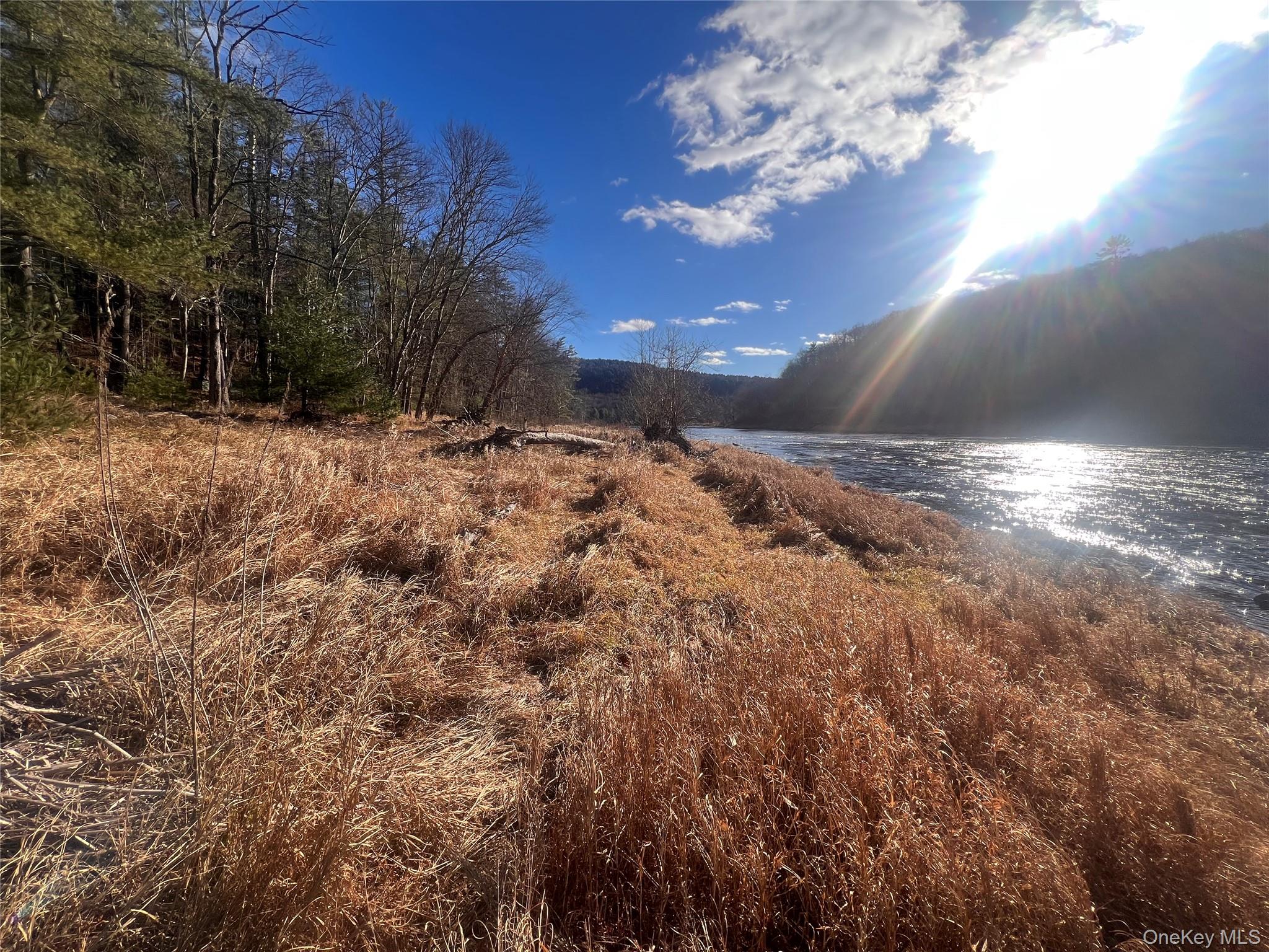 Hankins Rd, Narrowsburg, NY 12764