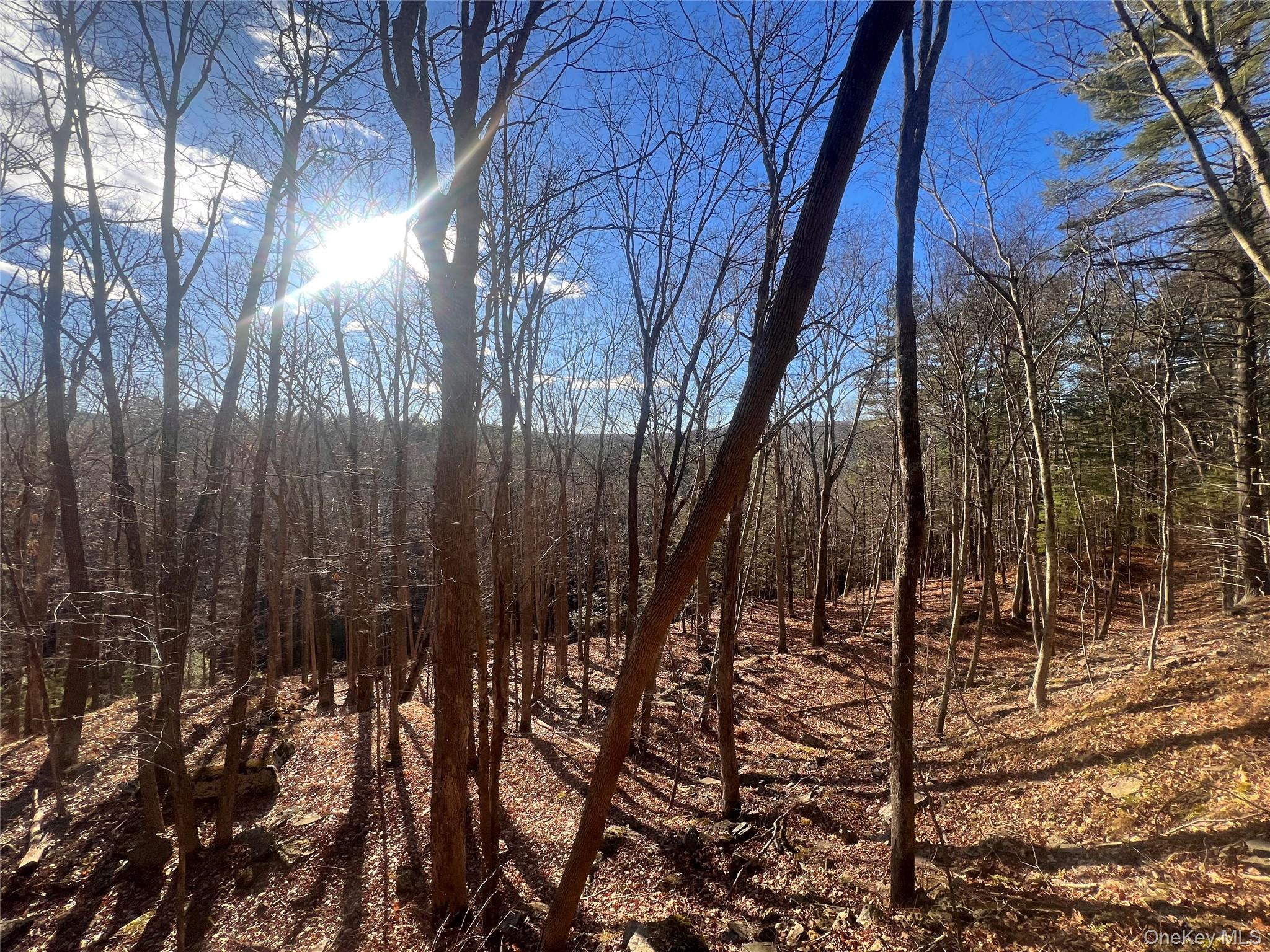 Hankins Rd, Narrowsburg, NY 12764