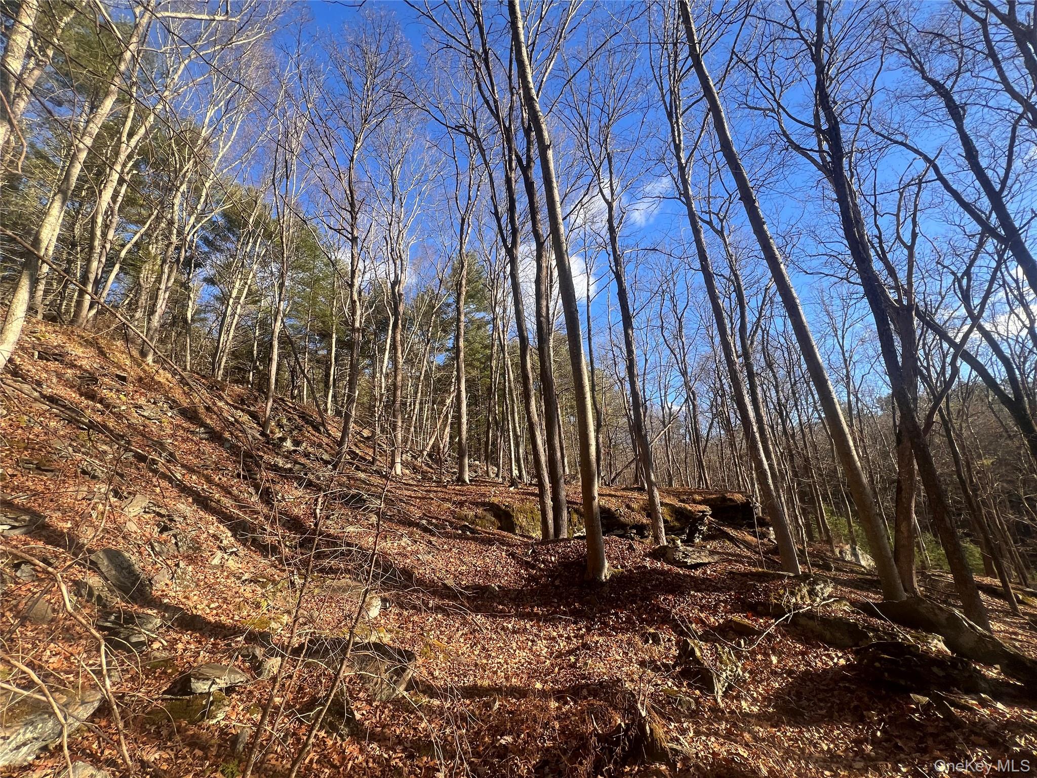 Hankins Rd, Narrowsburg, NY 12764