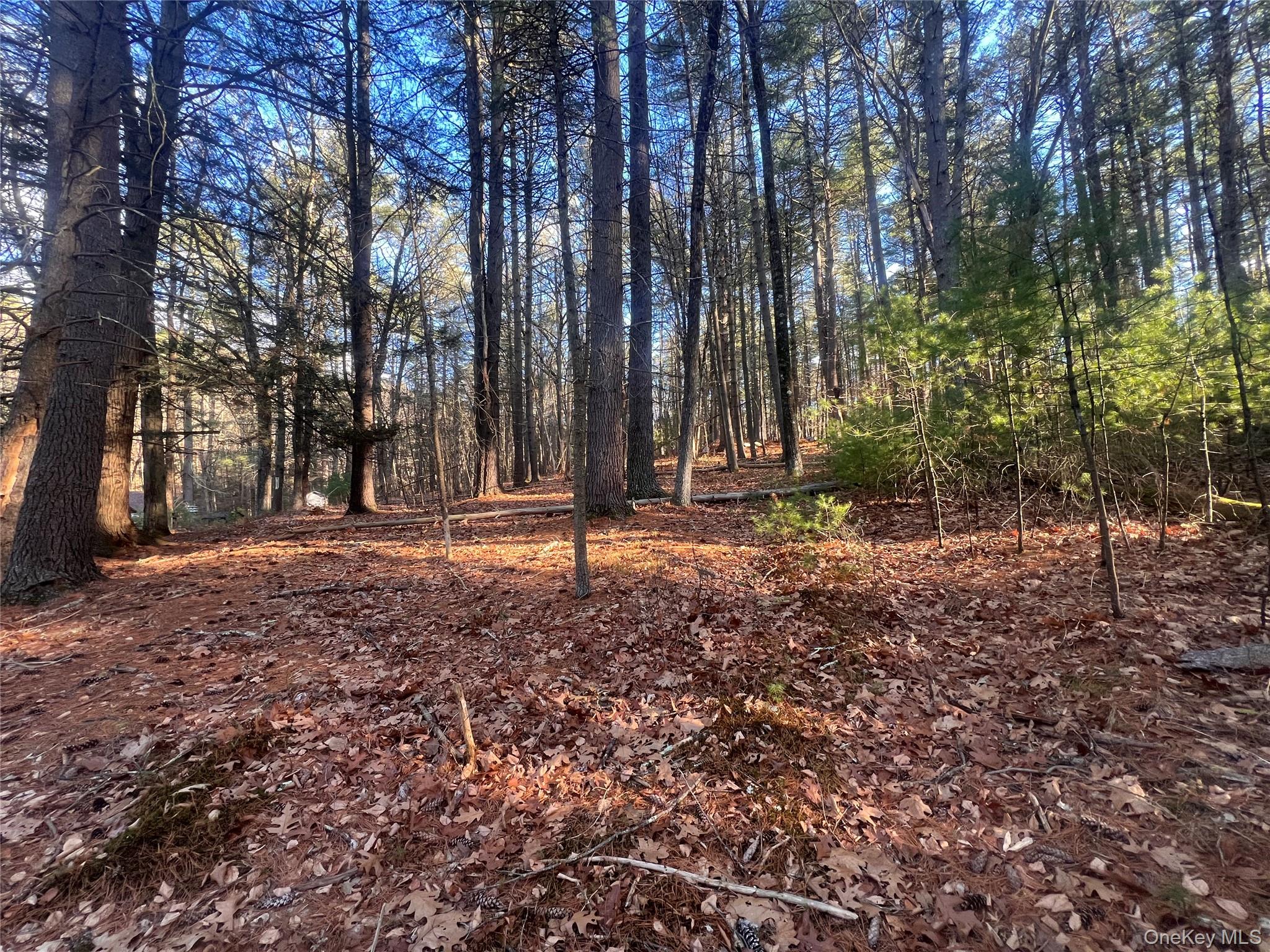 Hankins Rd, Narrowsburg, NY 12764