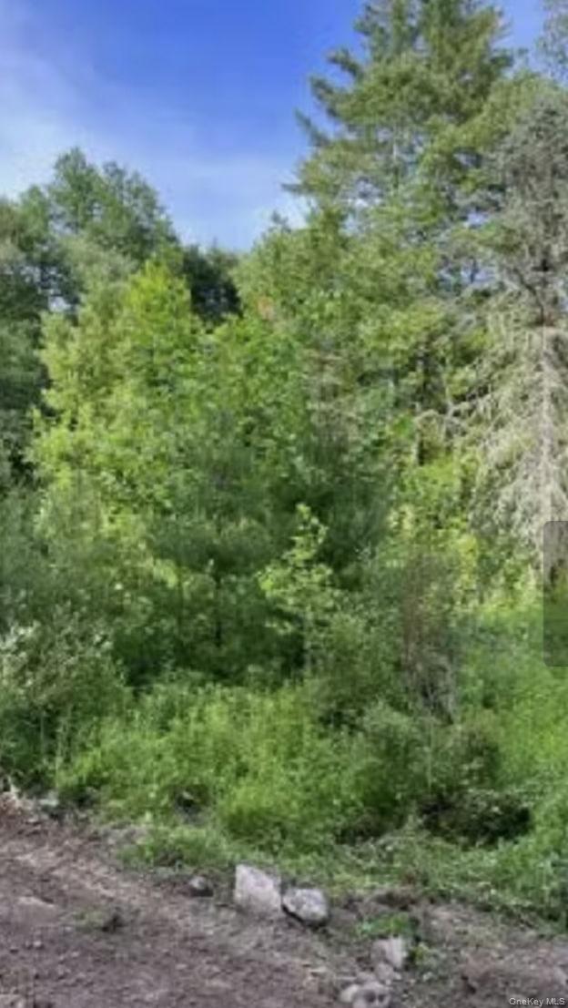 358/80 Ferguson Lane, Wurtsboro, NY 12790