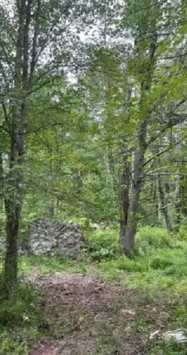 358/80 Ferguson Lane, Wurtsboro, NY 12790