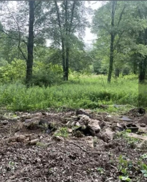 358/80 Ferguson Lane, Wurtsboro, NY 12790