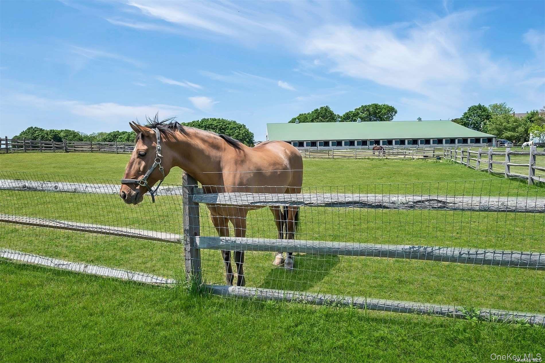 170 Vineyard Way, Aquebogue, NY 11931