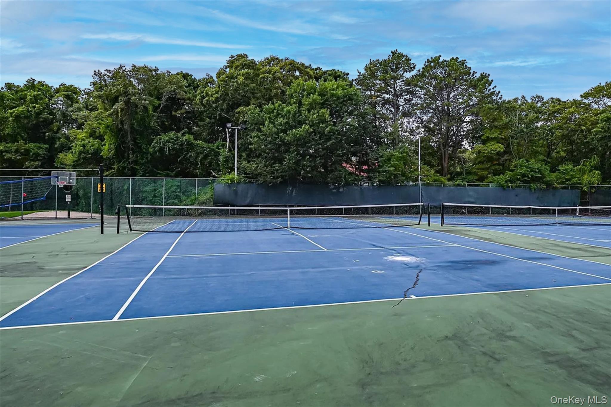 603 Blue Ridge Drive, Medford, NY 11763