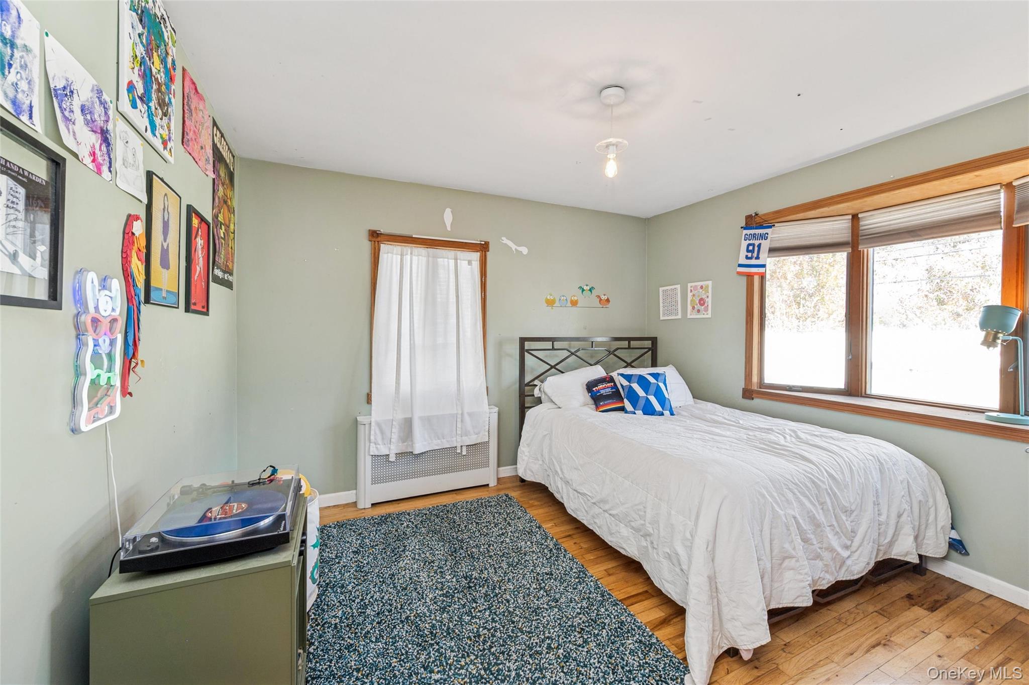 48 Elliot Drive, Hicksville, NY 11801