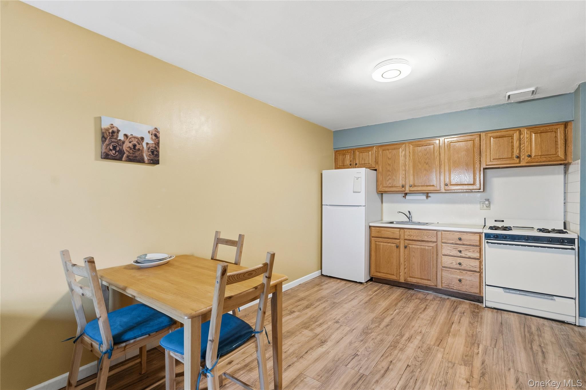 13716 88th Street, Ozone Park, NY 11417