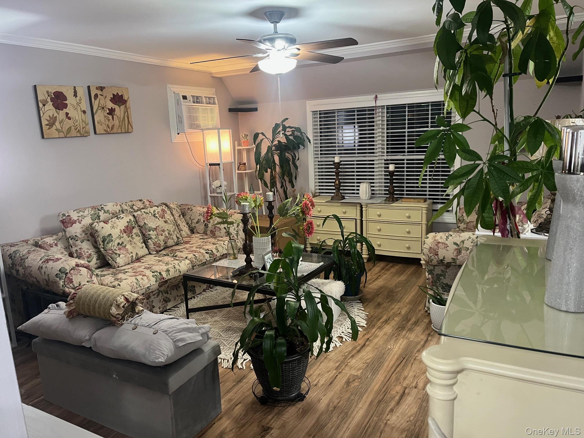 52 Mist Lane, Westbury, NY 11590