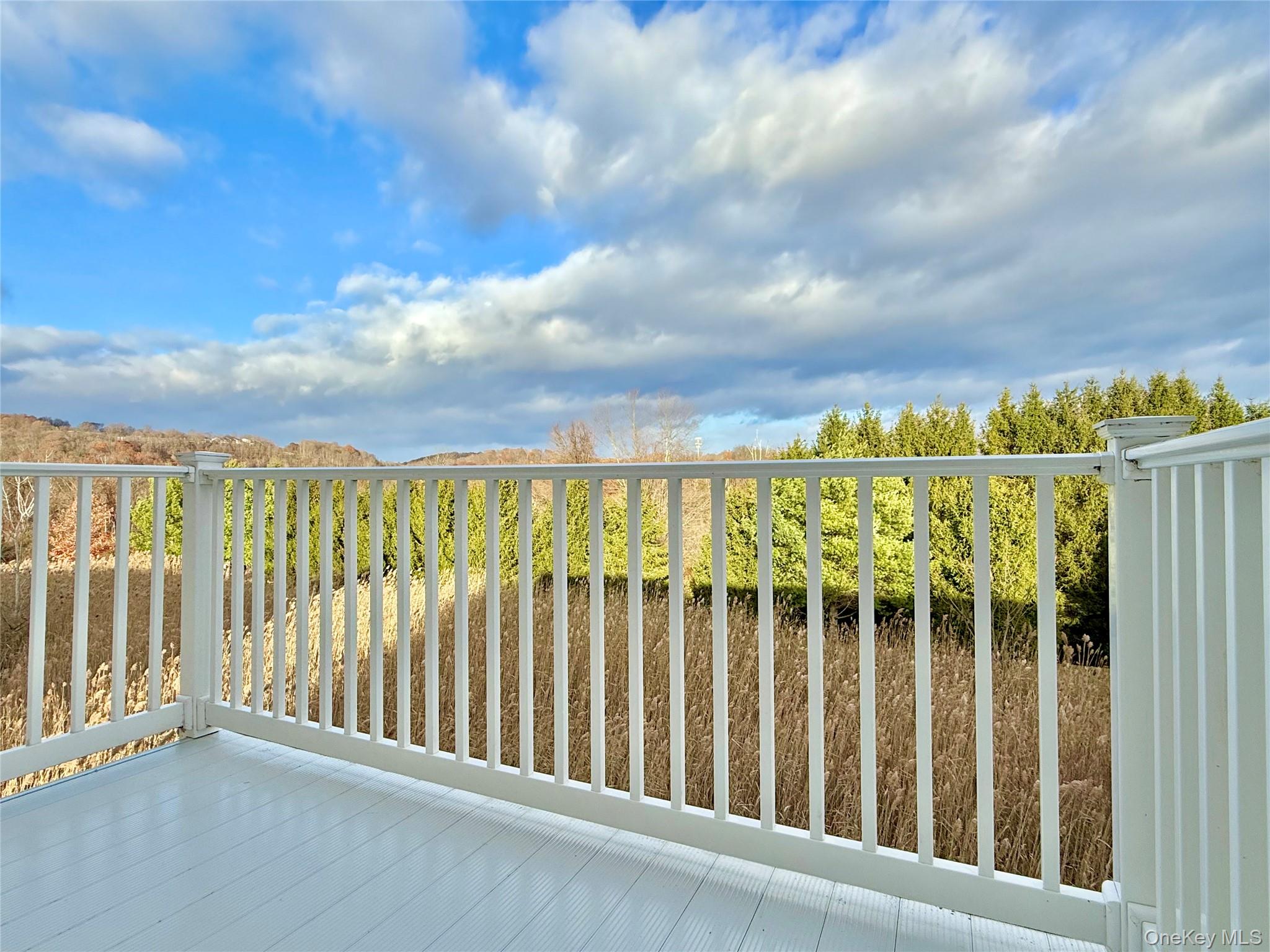 808 Egrets Landing, Carmel, NY 10512