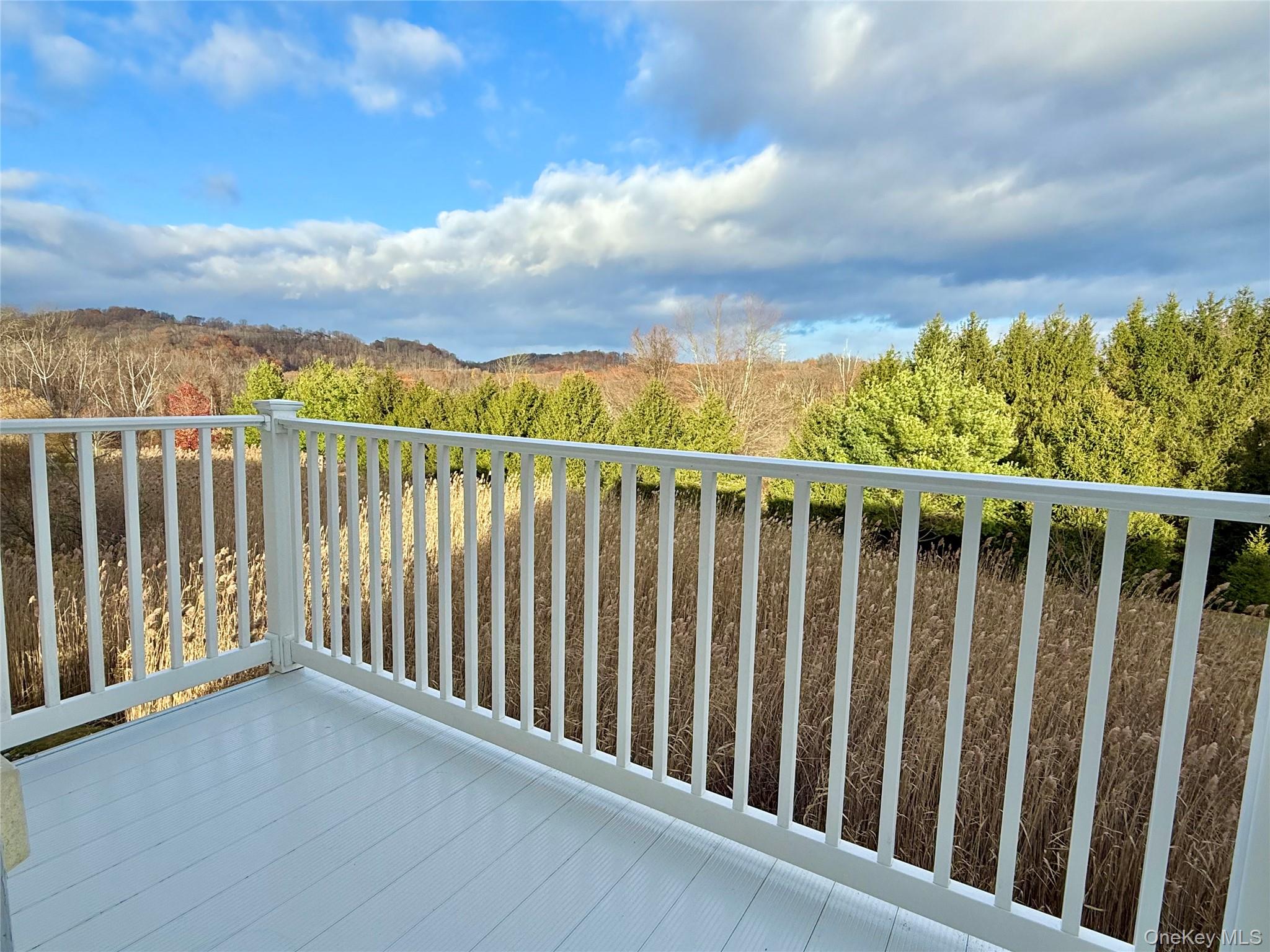 808 Egrets Landing, Carmel, NY 10512