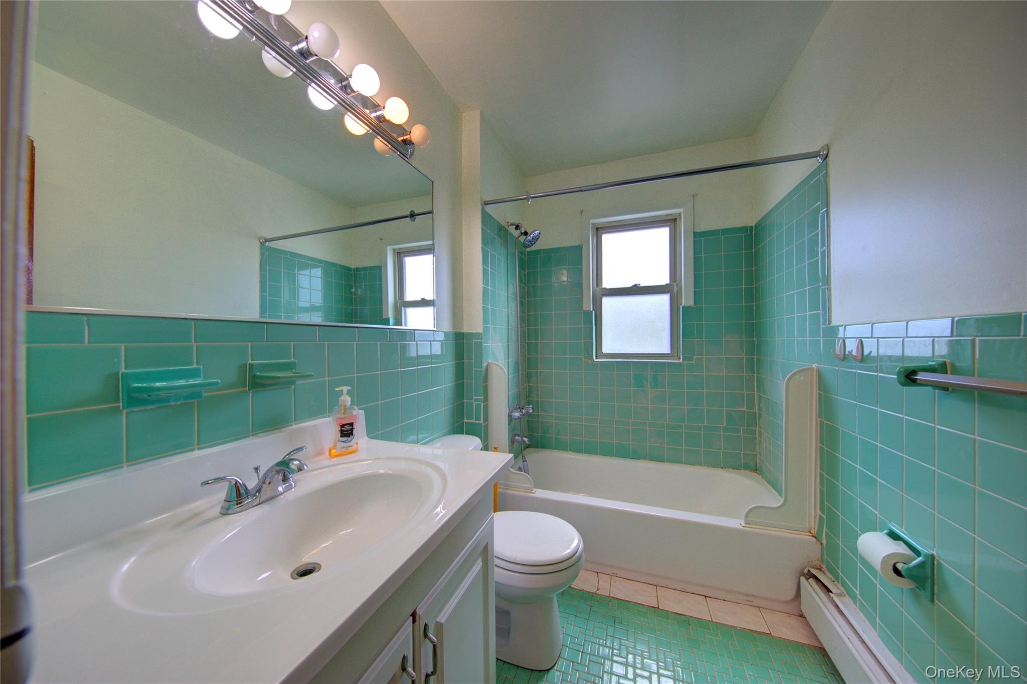 527 Cameron Street # 2, Elmont, NY 11003