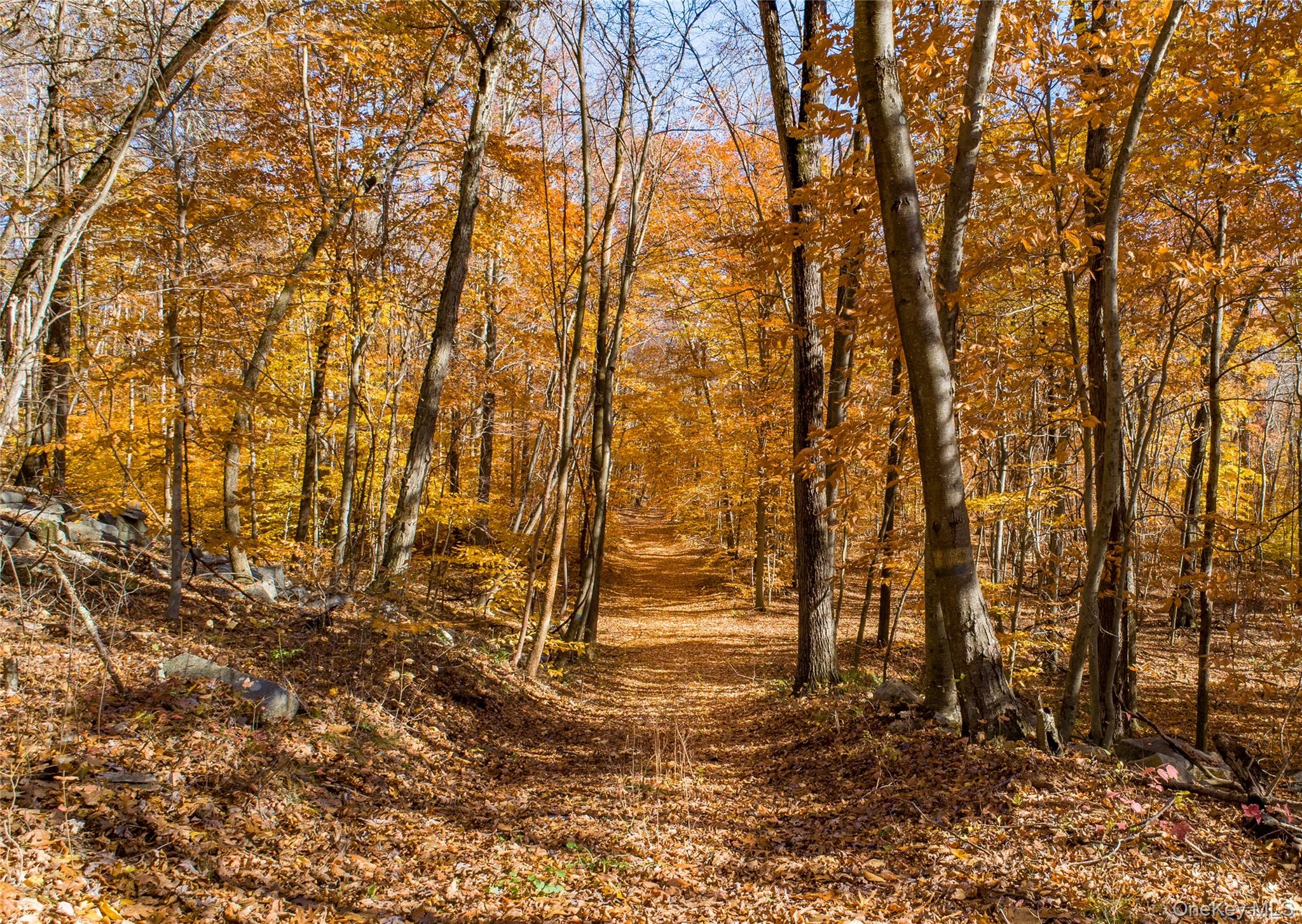 111 Ballyhack Road, Brewster, NY 10509