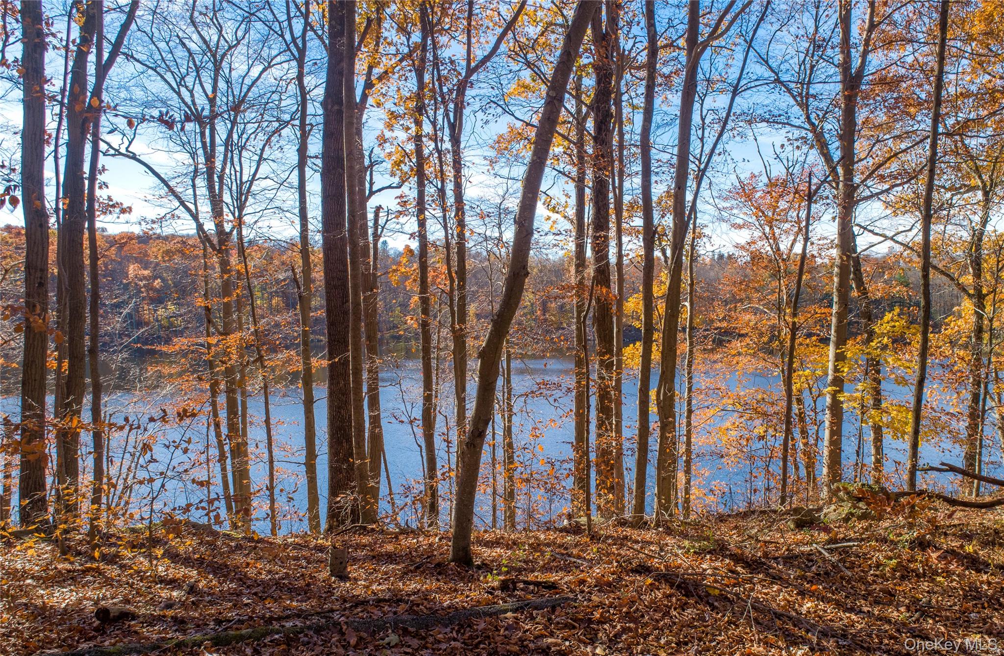 111 Ballyhack Road, Brewster, NY 10509