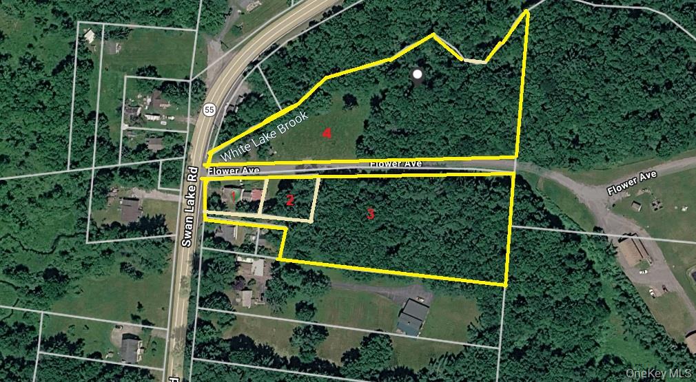 3624 State Route 55, Kauneonga Lake, NY 12720