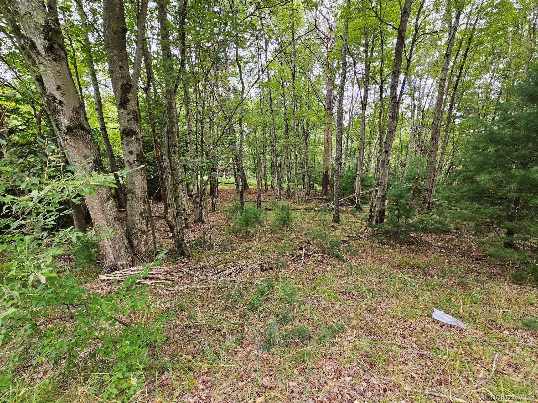 3624 State Route 55, Kauneonga Lake, NY 12720