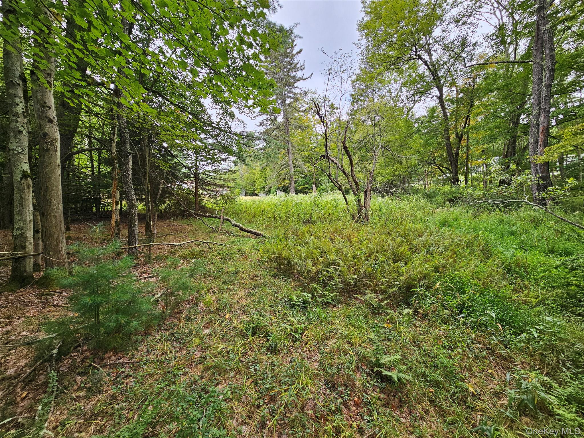 3624 State Route 55, Kauneonga Lake, NY 12720