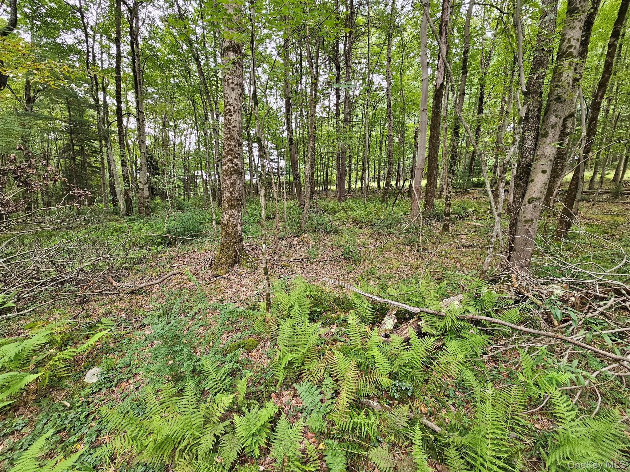 3624 State Route 55, Kauneonga Lake, NY 12720