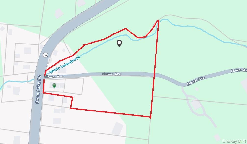 3624 State Route 55, Kauneonga Lake, NY 12720