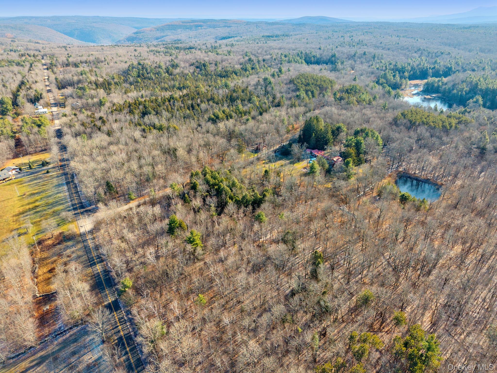 403 Blueberry Hill Road, Call Listing Agent, NY 12122