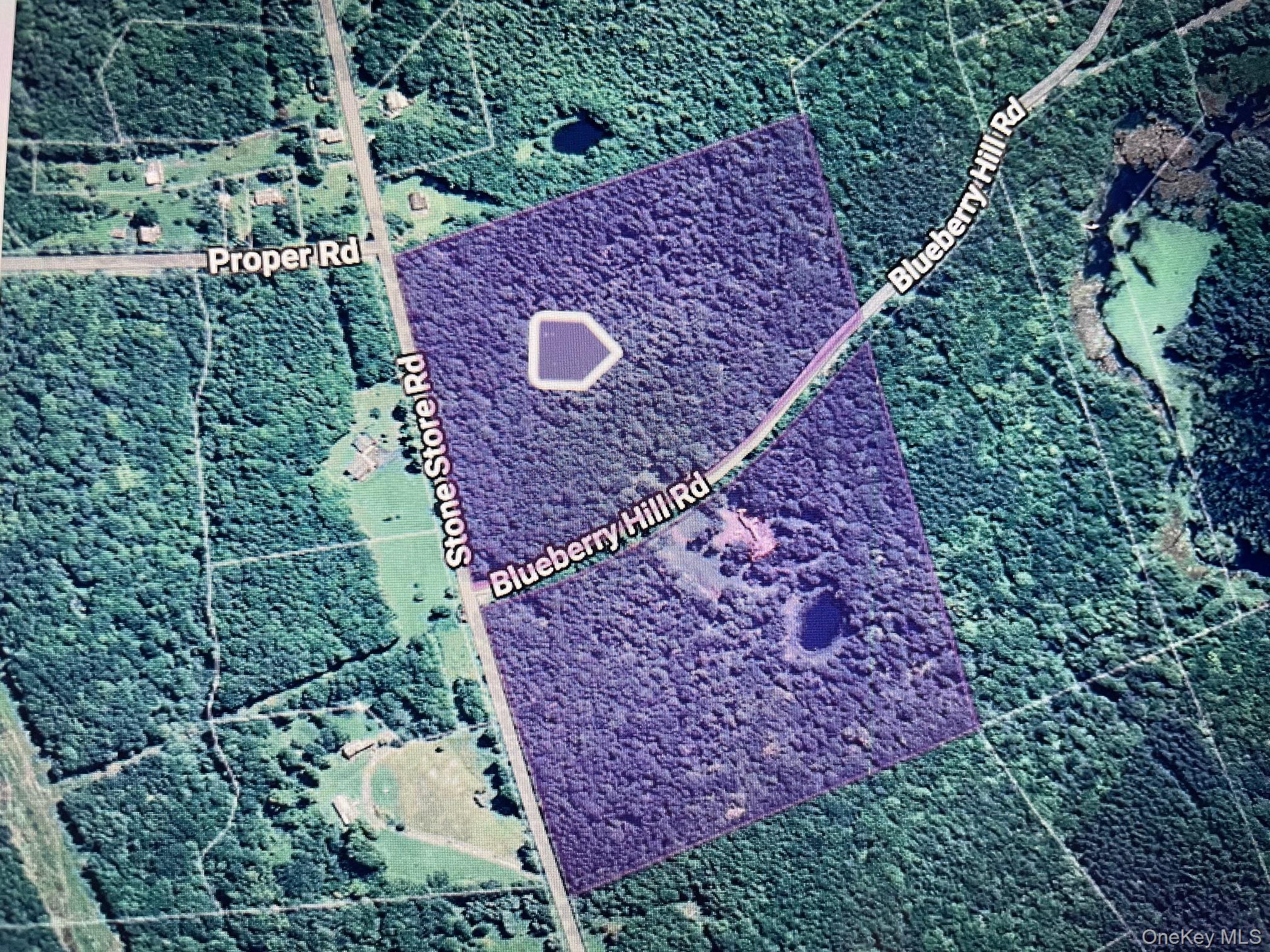 403 Blueberry Hill Road, Call Listing Agent, NY 12122