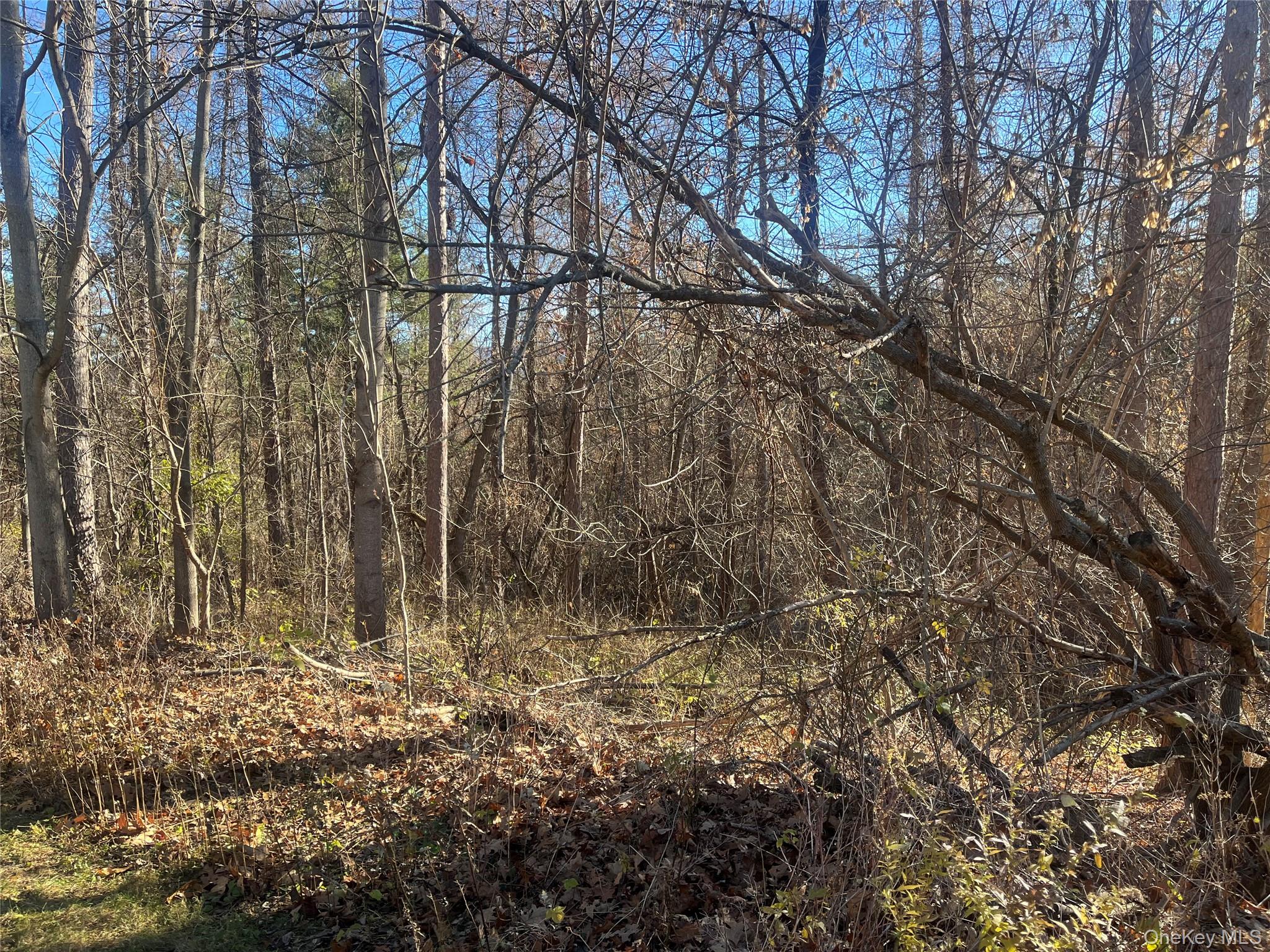 12 Pioneert, Copake, NY 12516